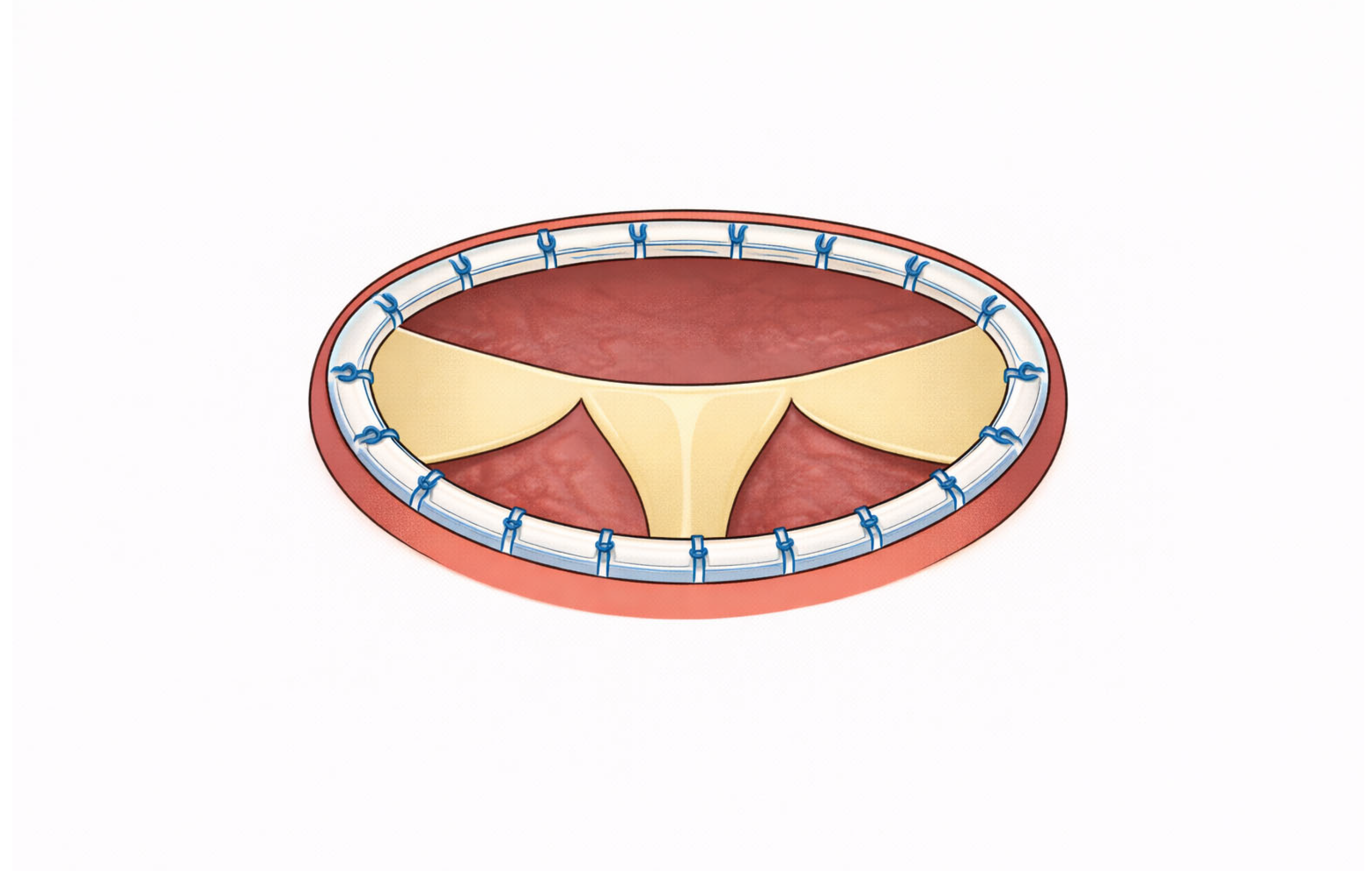 Preprints 197226 g003