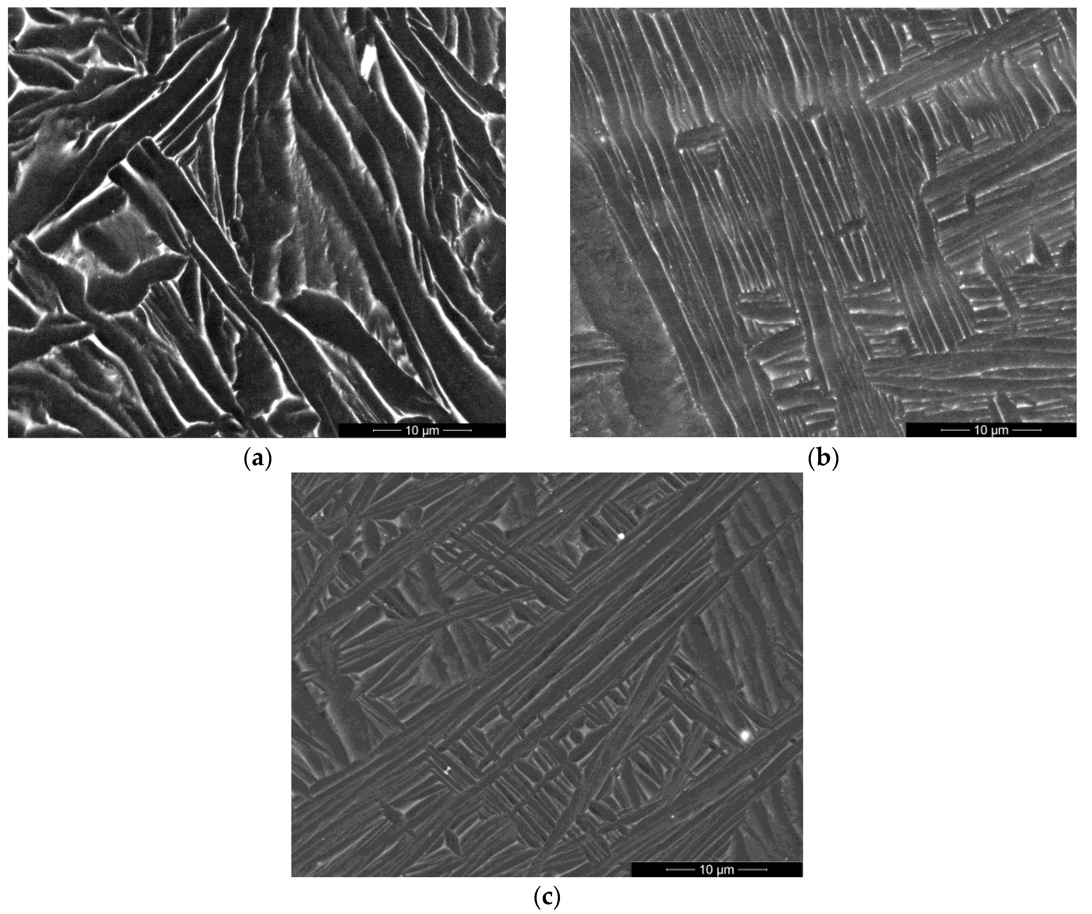 Preprints 188952 g001