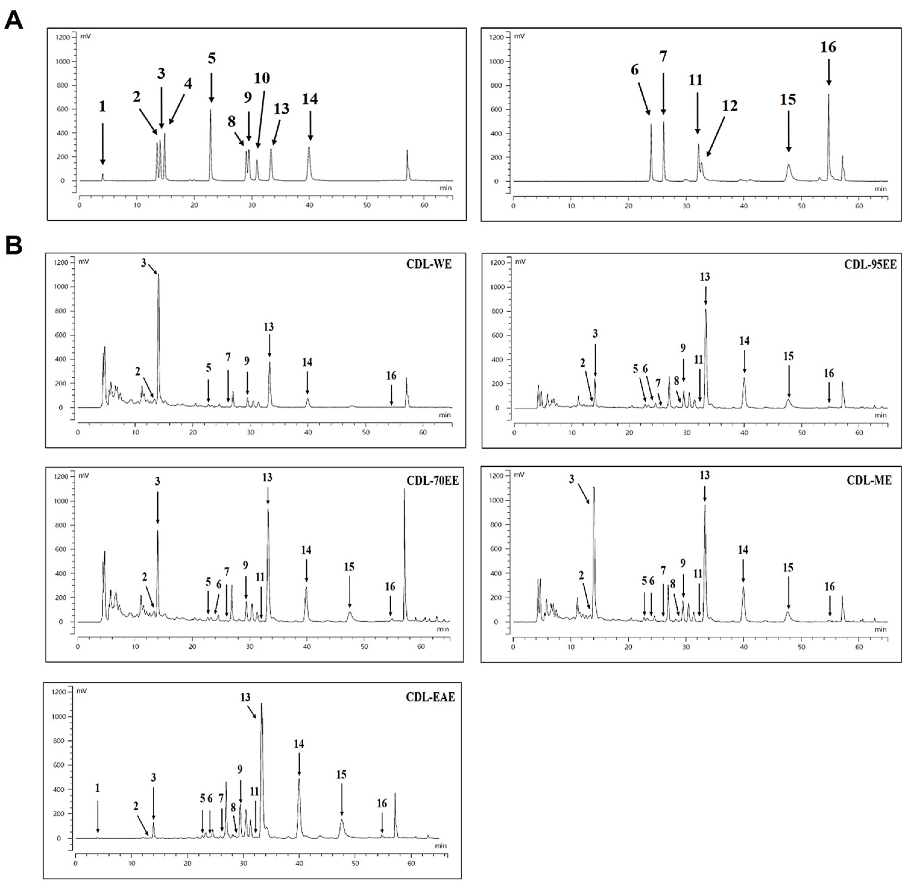 Preprints 196060 g001