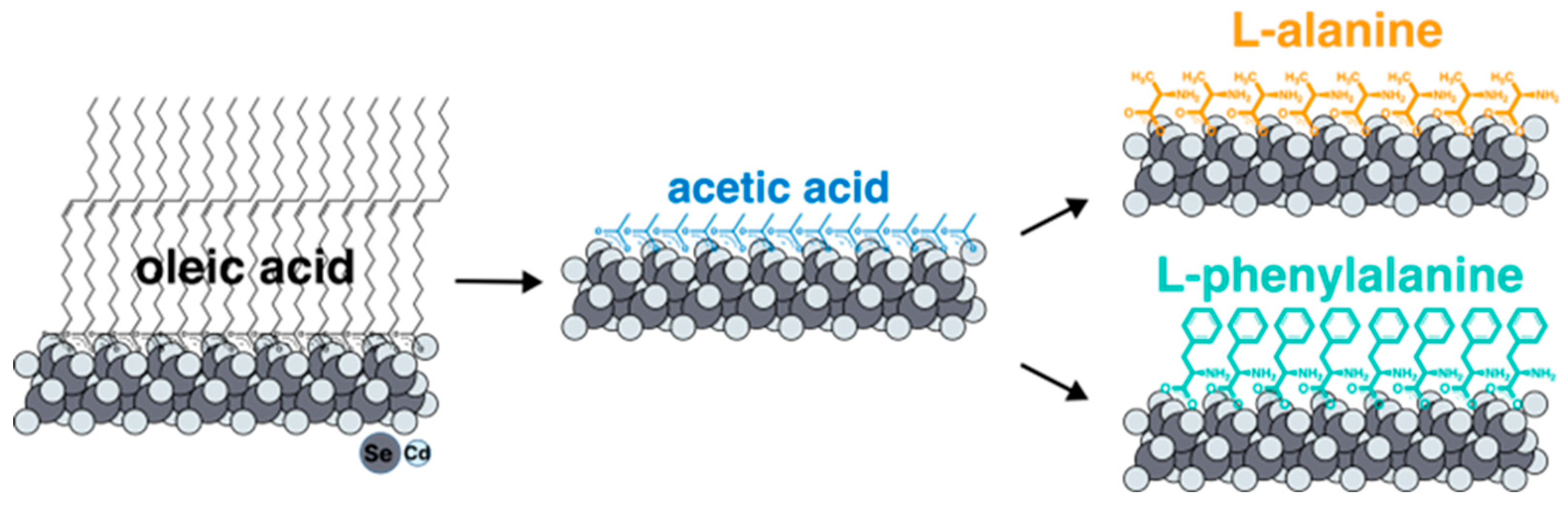 Preprints 91680 g002
