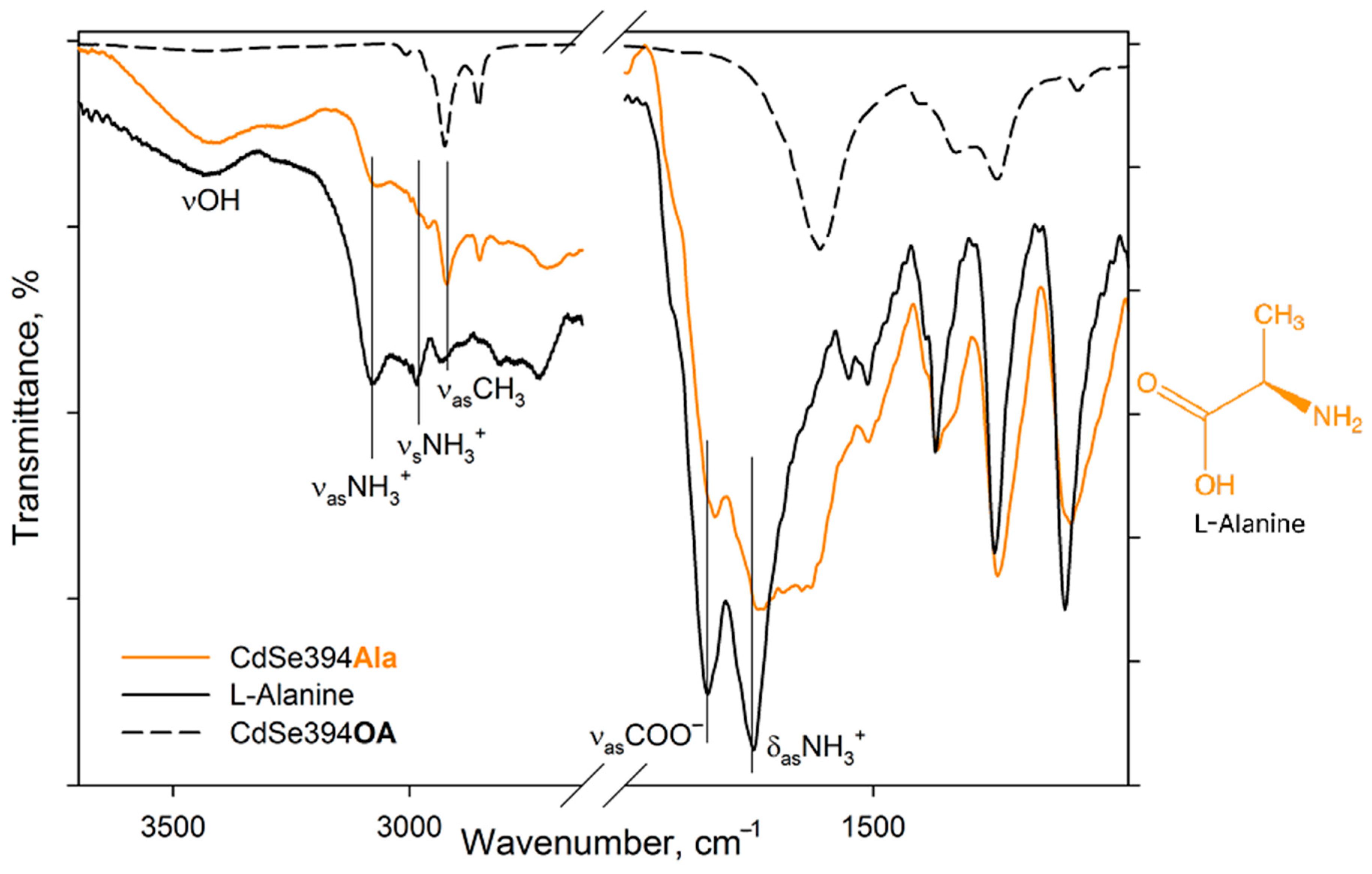 Preprints 91680 g003