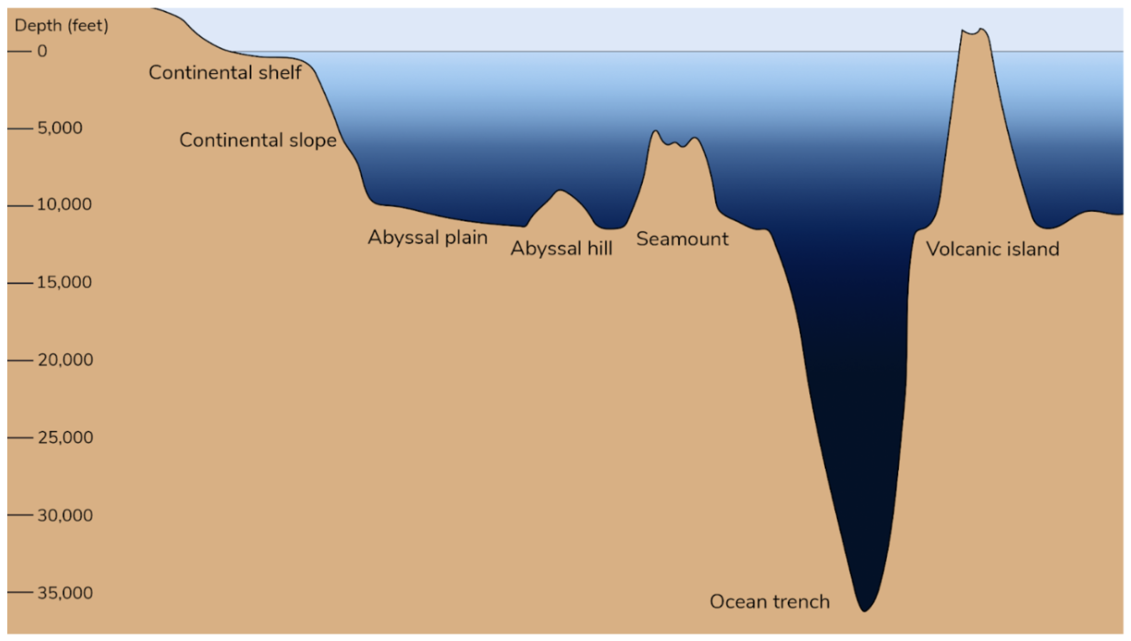 Preprints 167729 g001