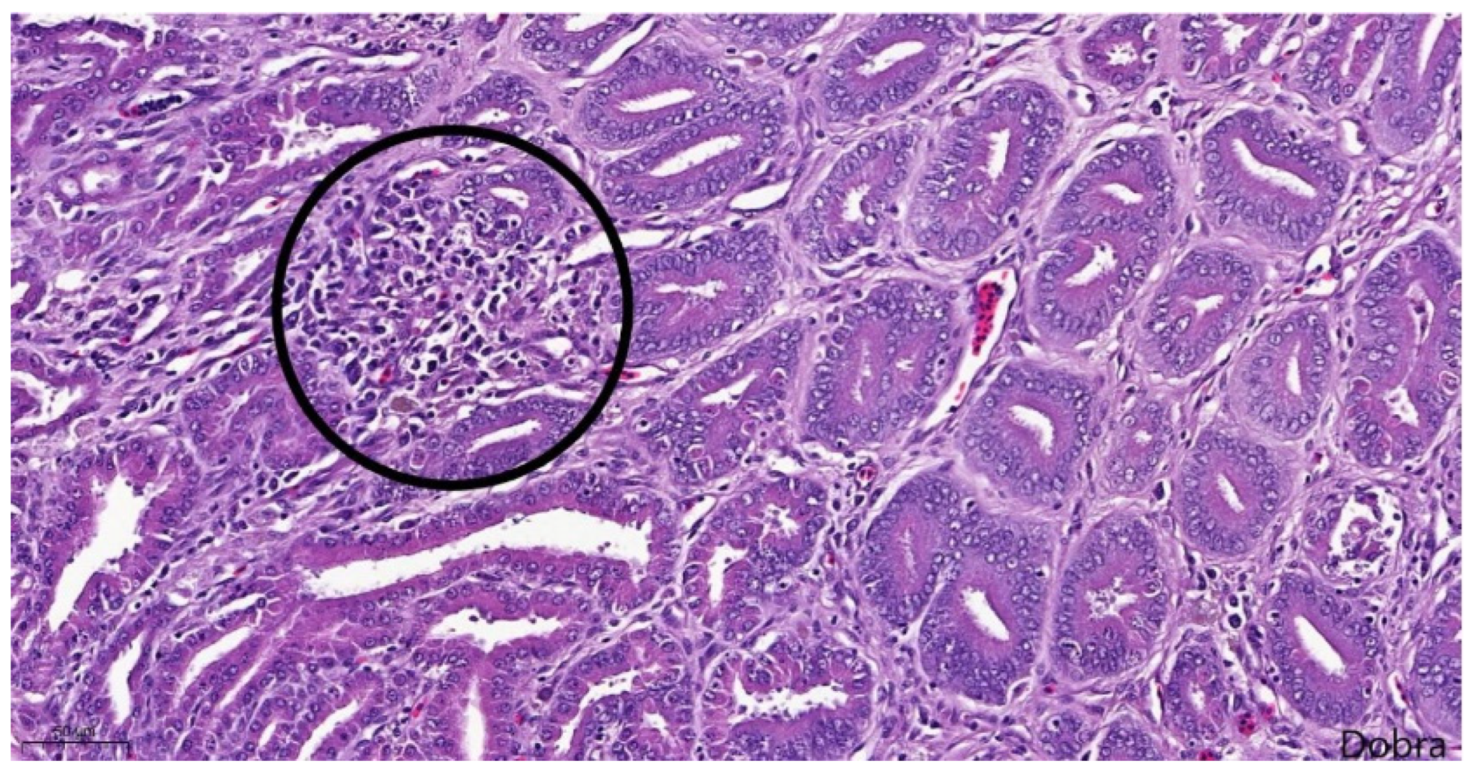 Preprints 191708 g010