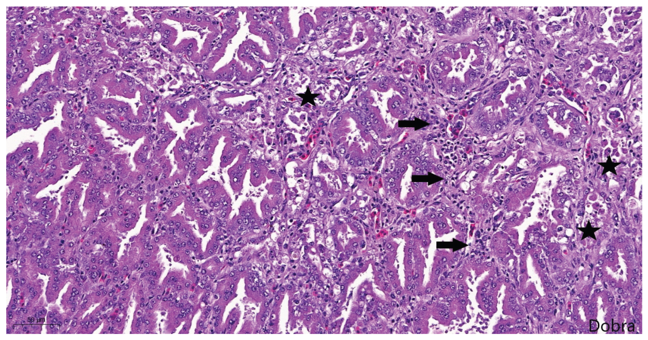 Preprints 191708 g012