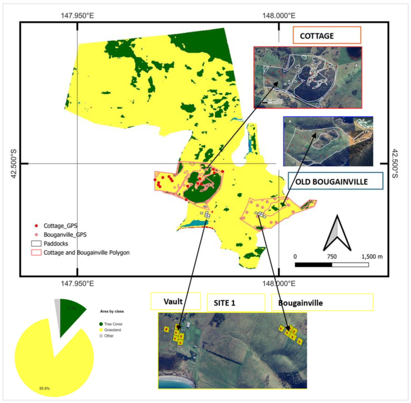 Preprints 114322 g001
