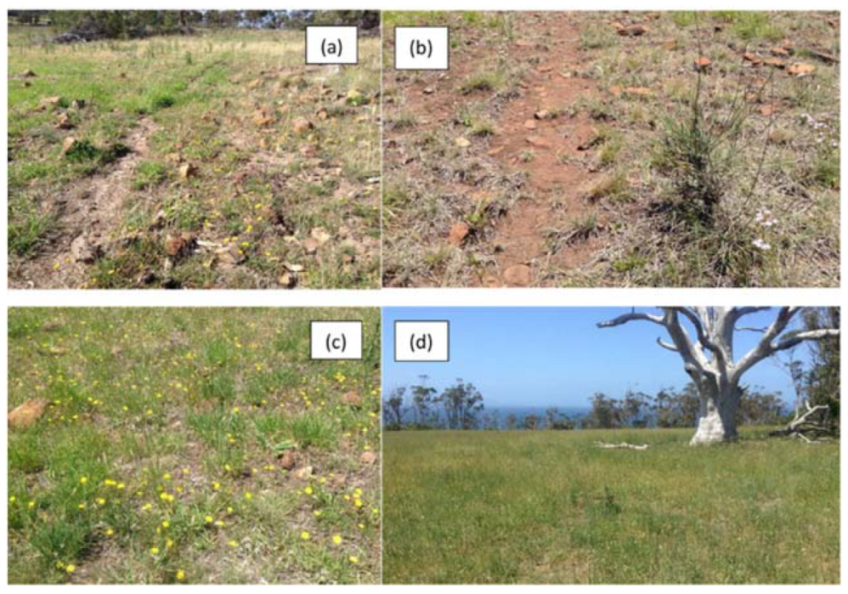 Preprints 114322 g002