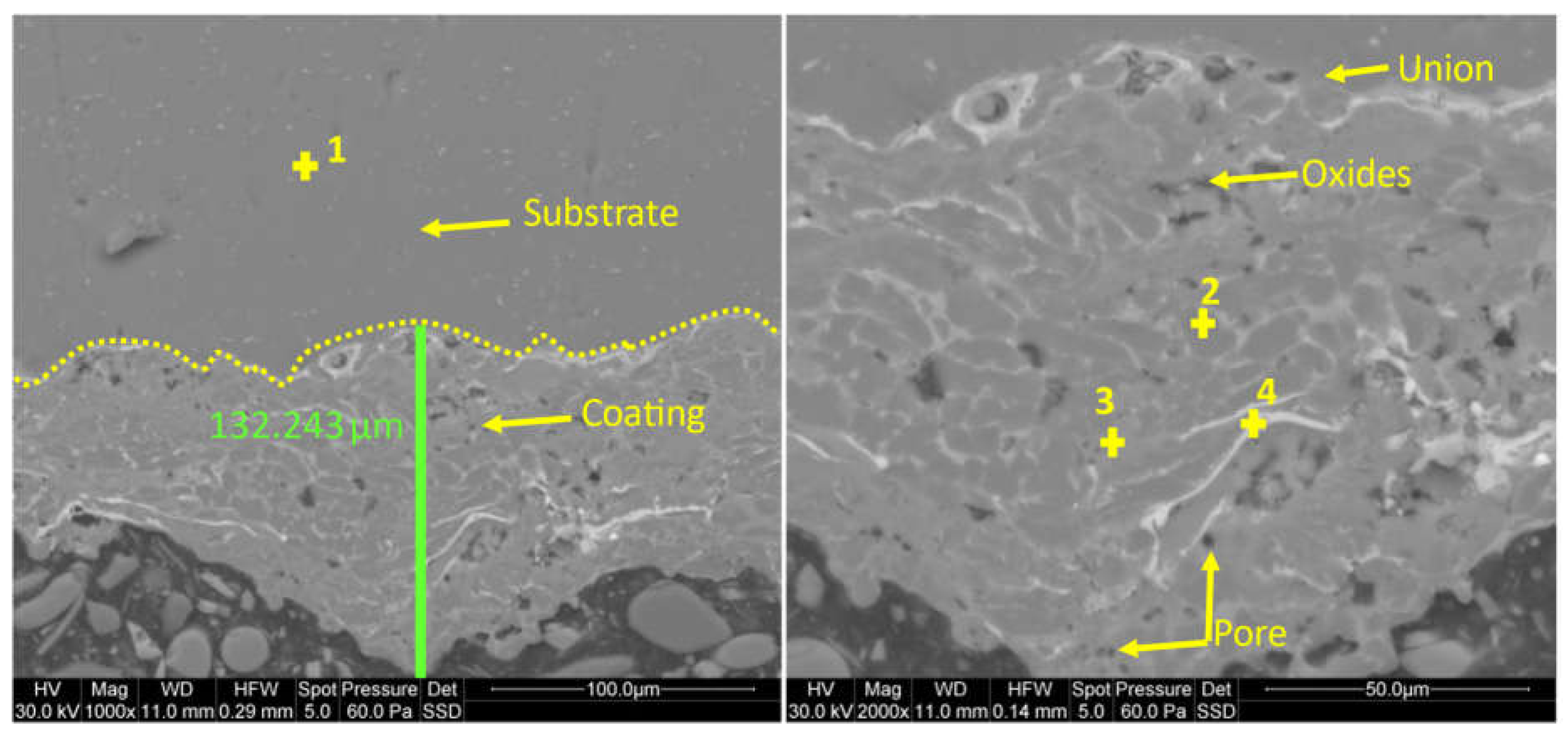 Preprints 114571 g003