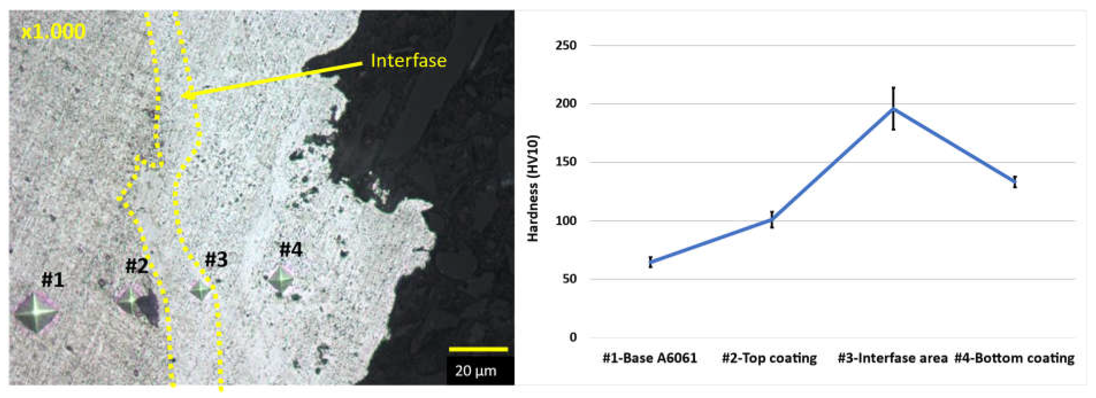 Preprints 114571 g006