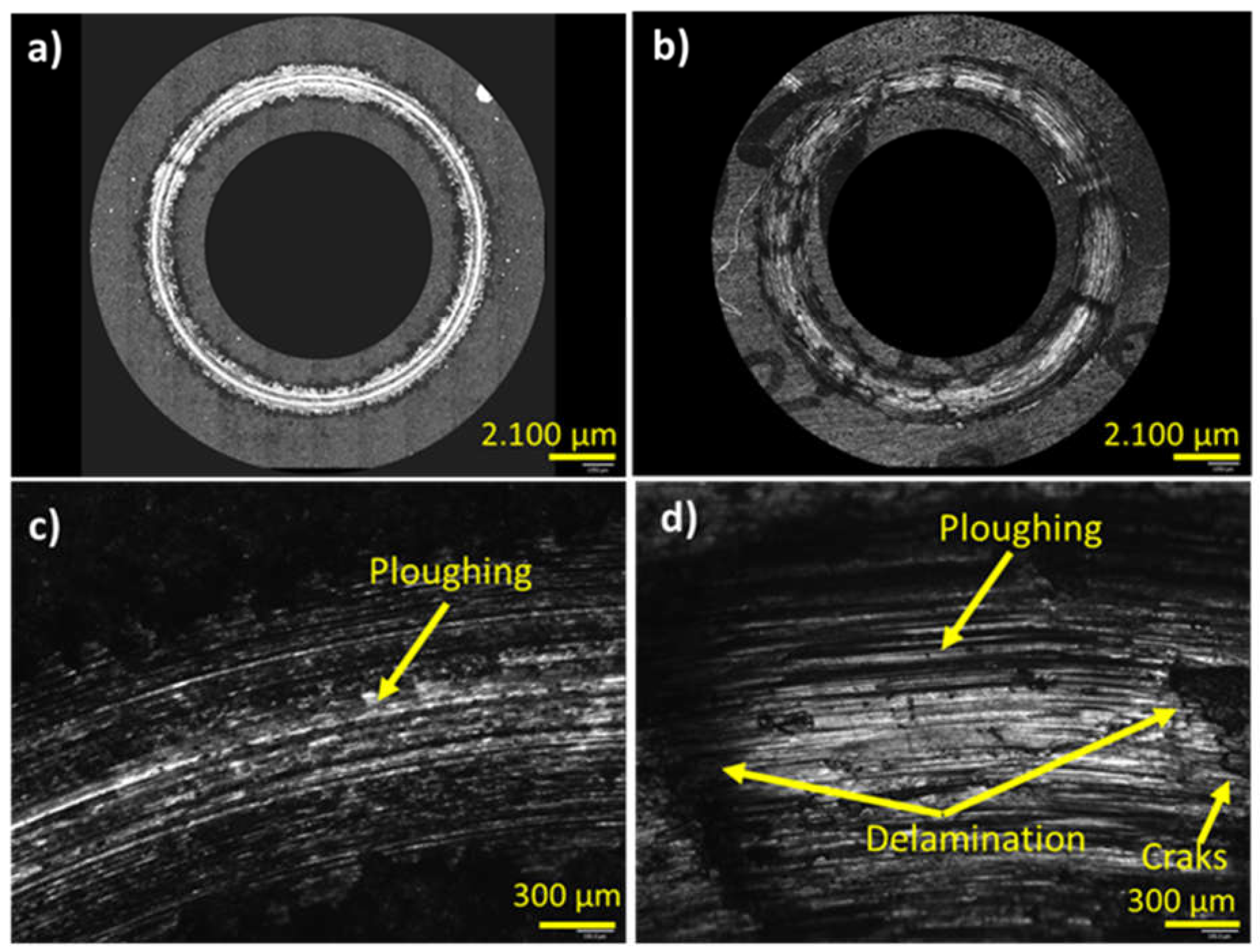Preprints 114571 g009