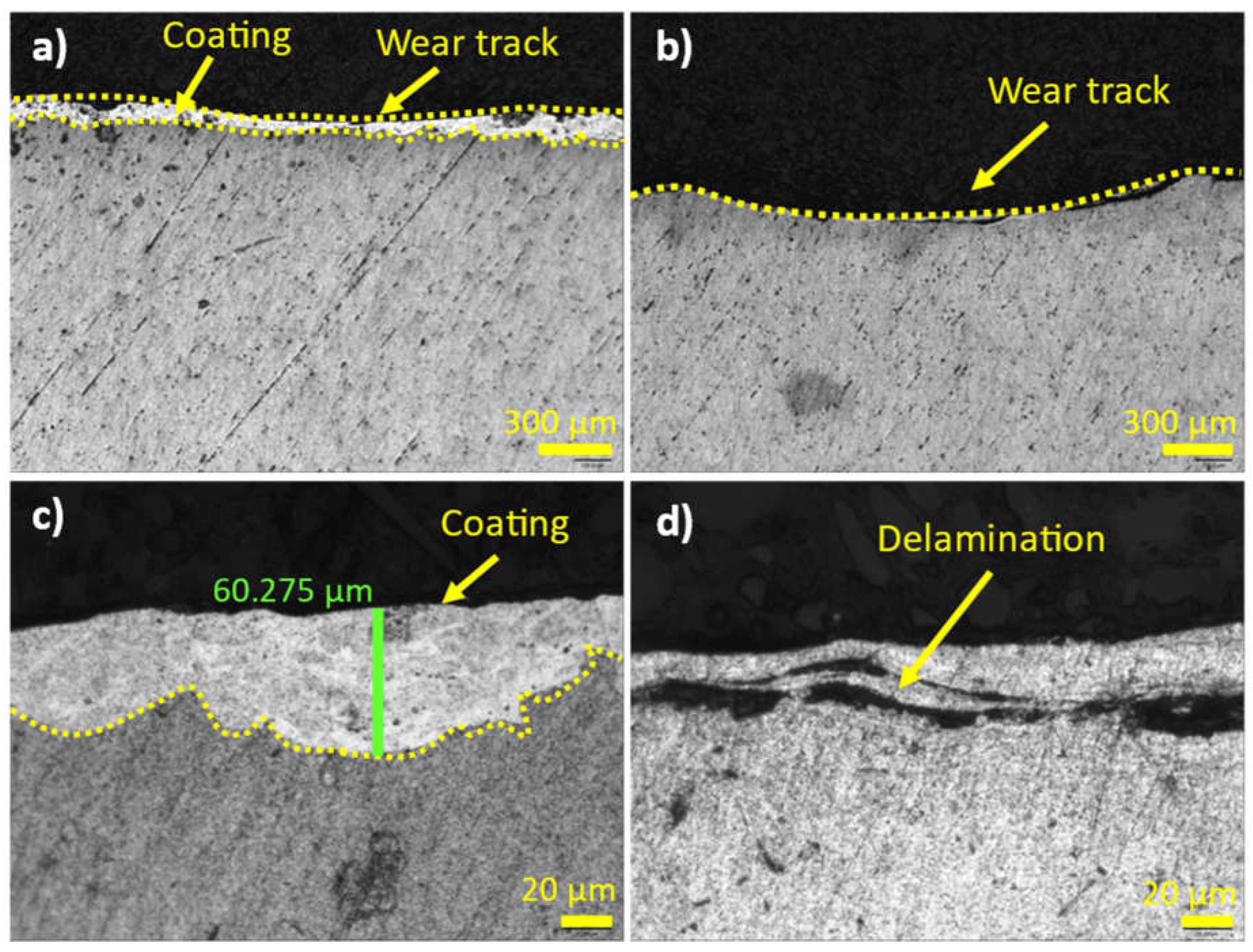 Preprints 114571 g010