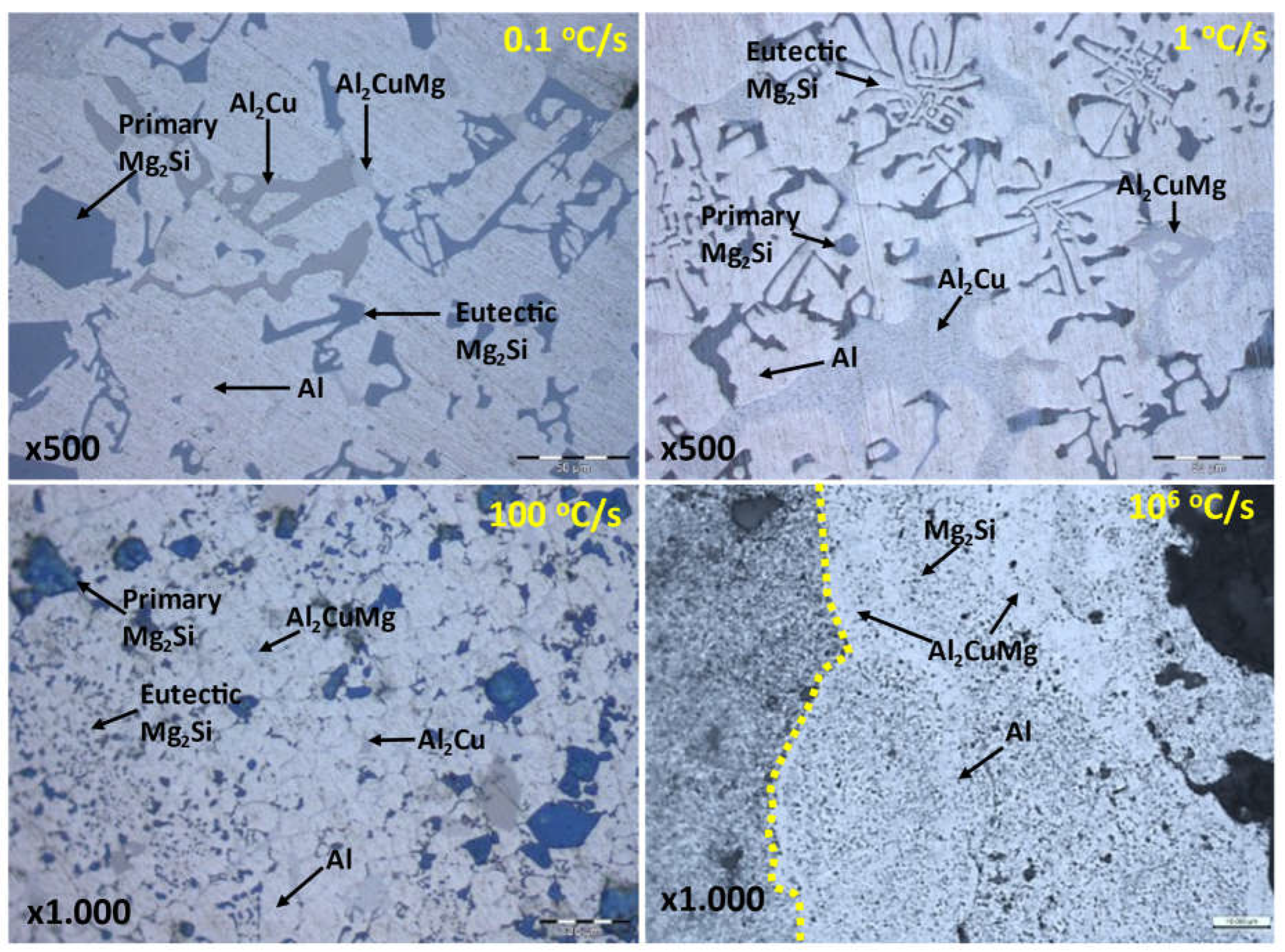 Preprints 114571 g011