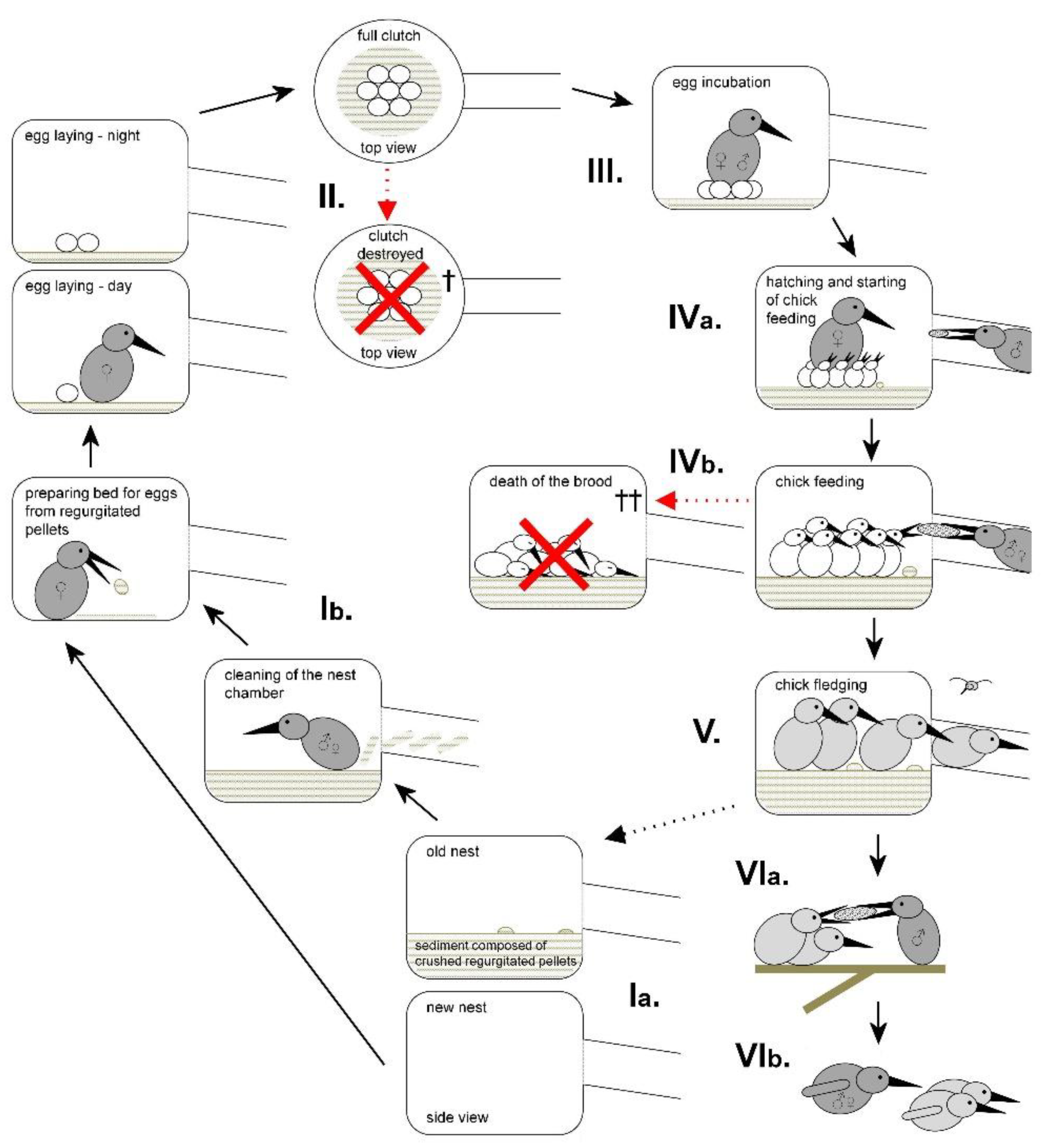 Preprints 102337 g001