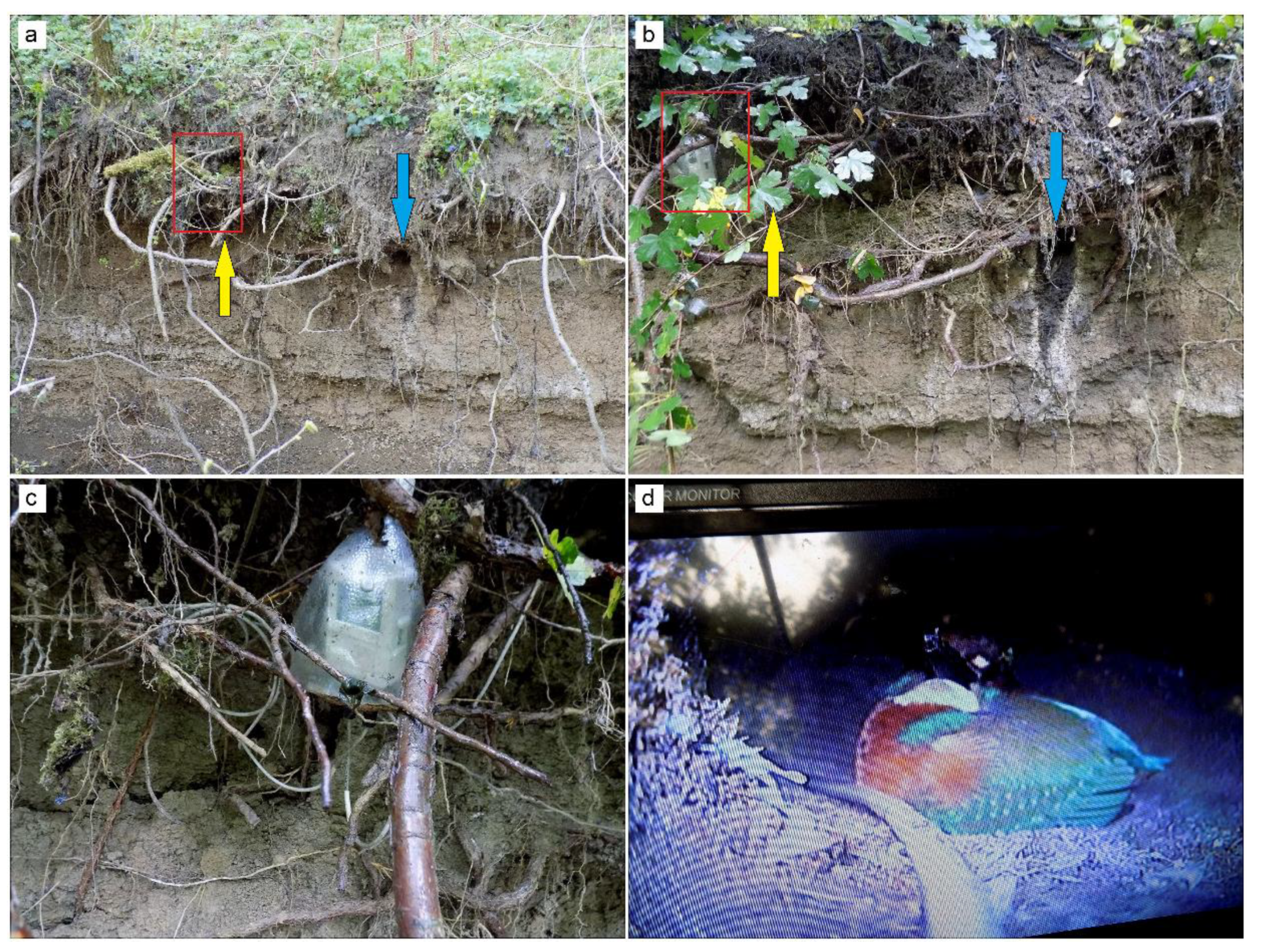 Preprints 102337 g003