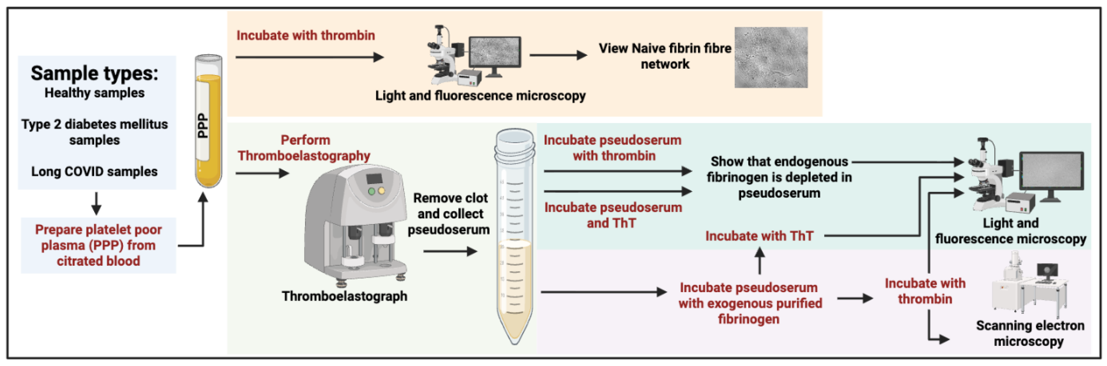 Preprints 175445 g001