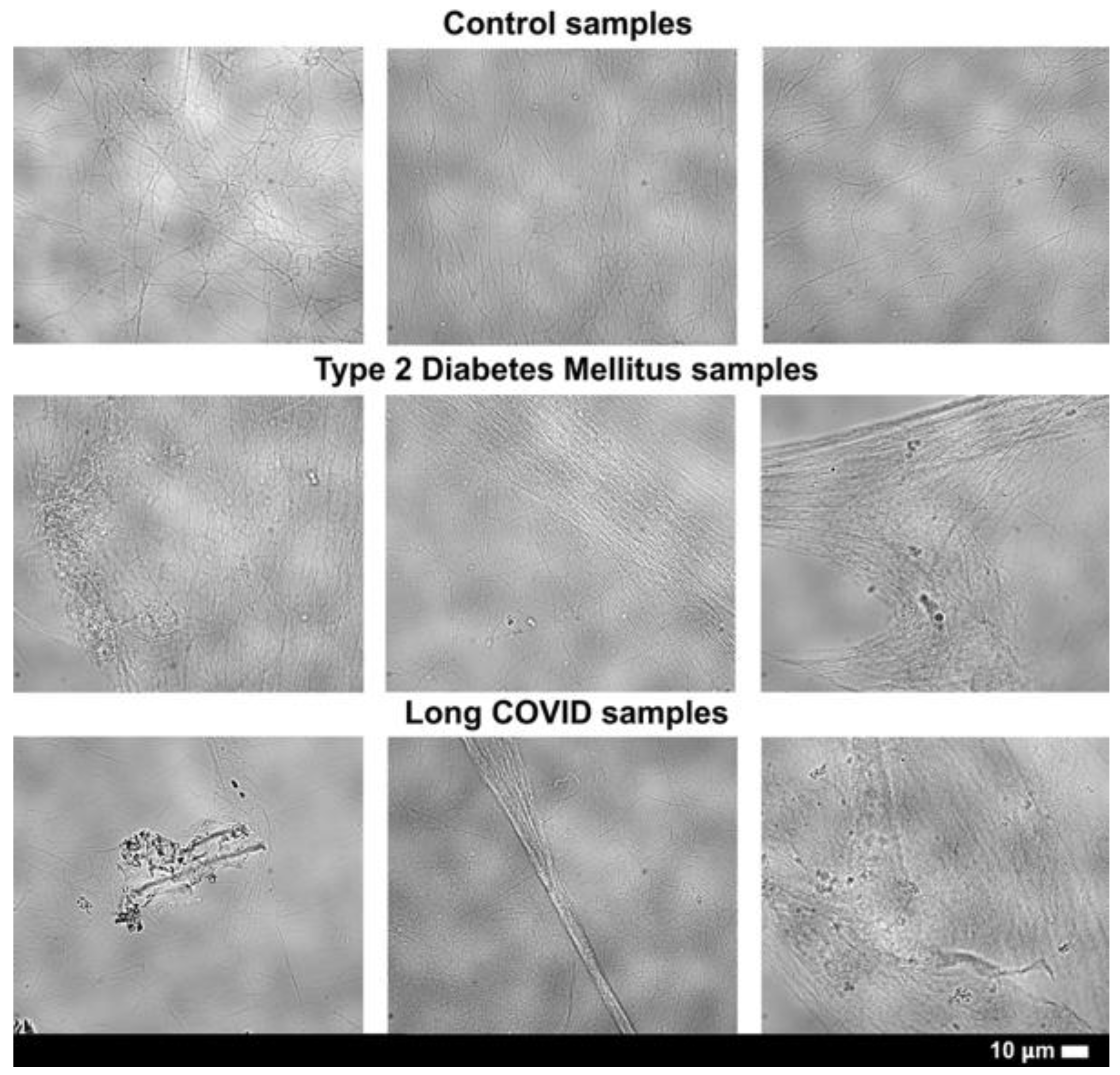 Preprints 175445 g002
