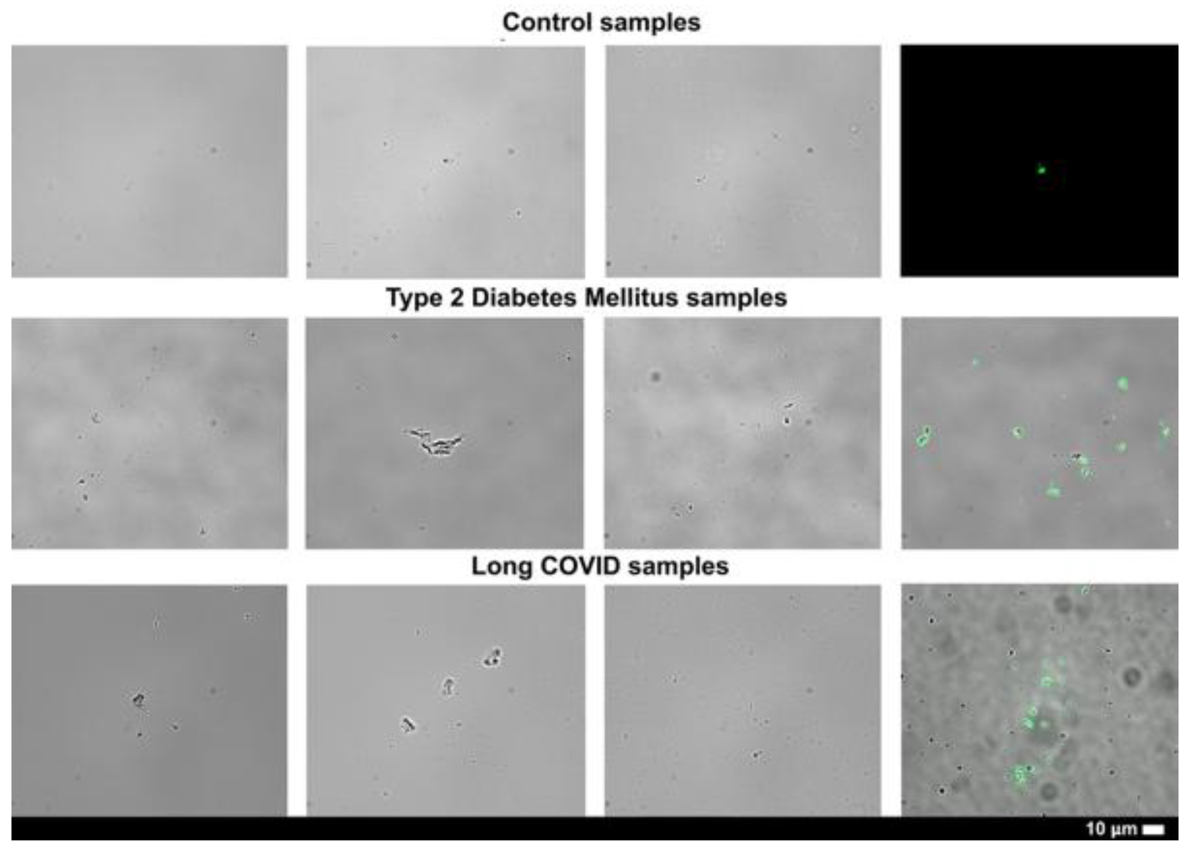 Preprints 175445 g003