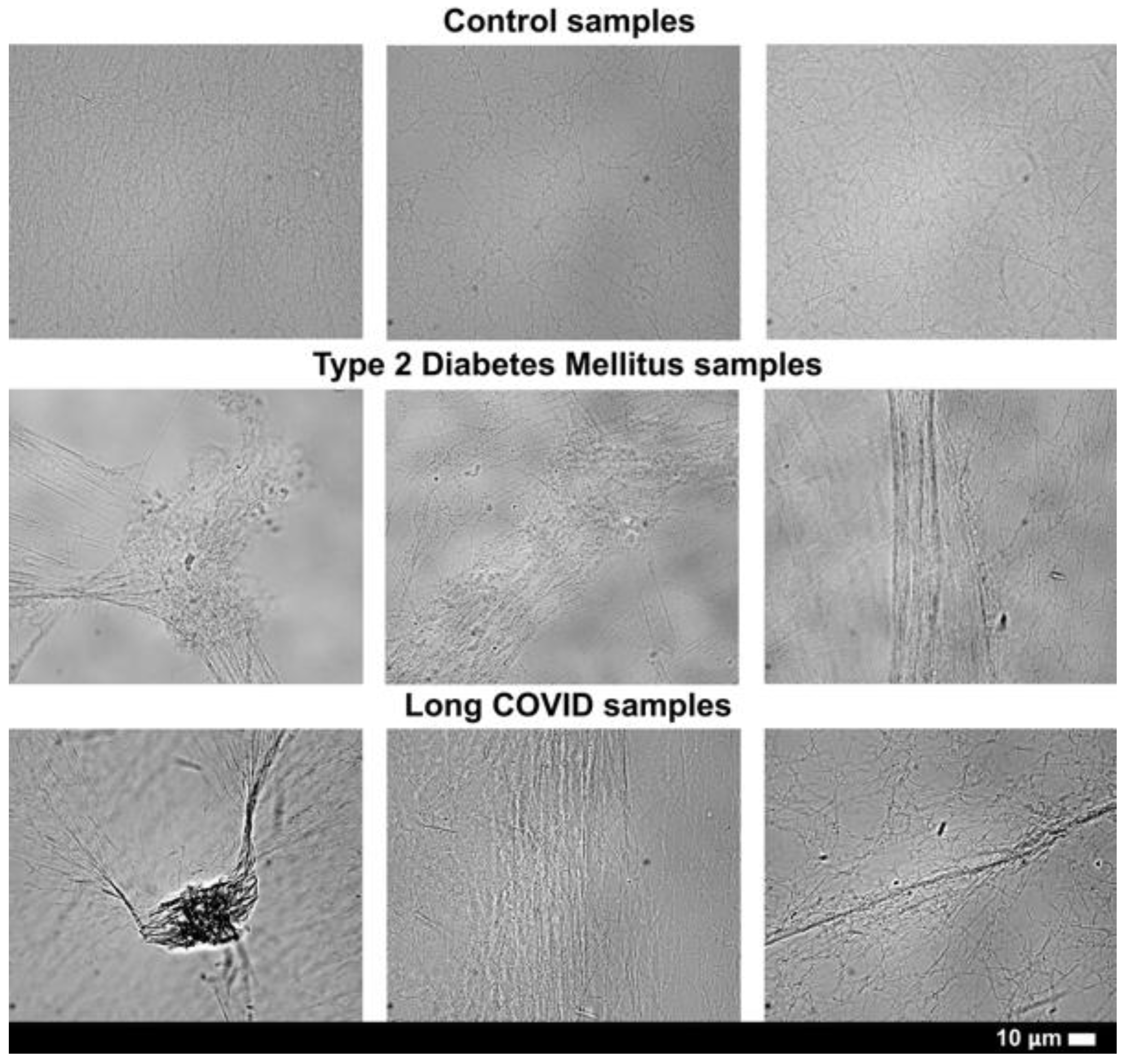 Preprints 175445 g004