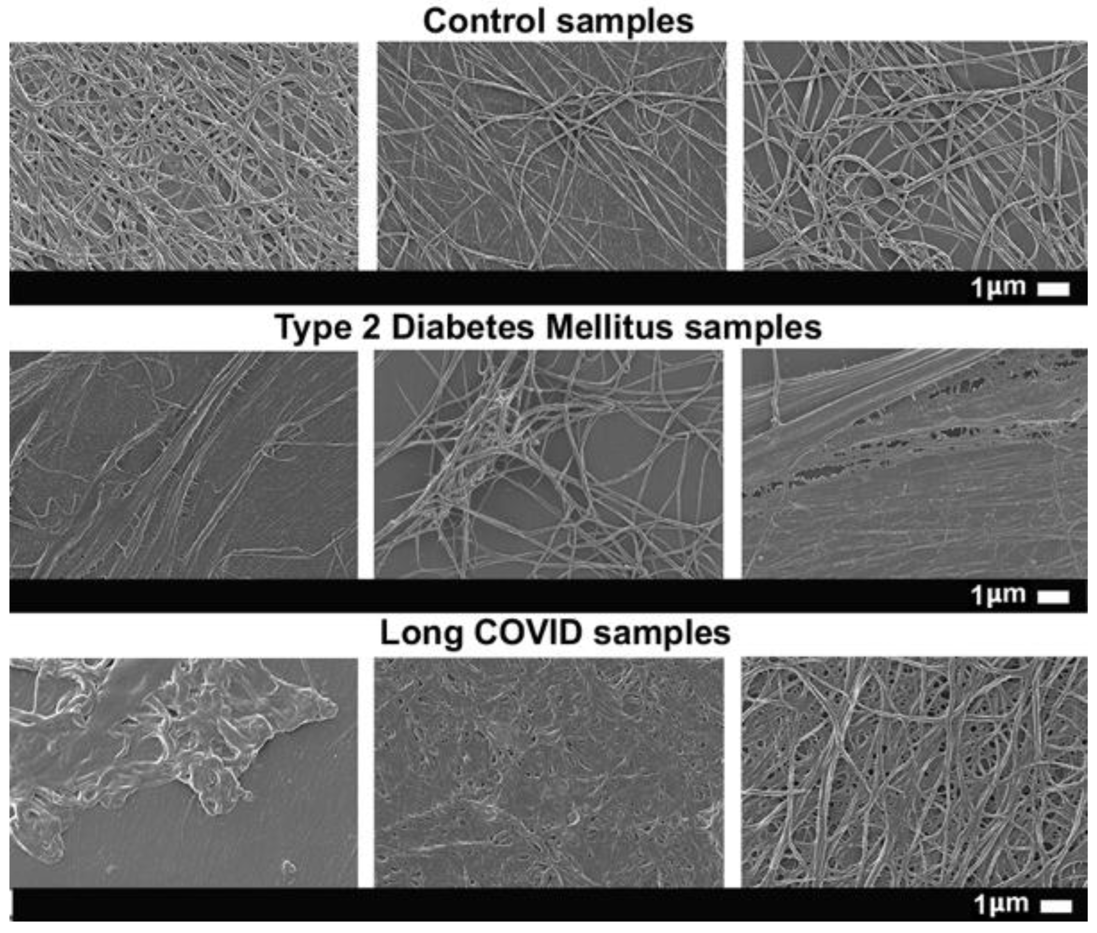 Preprints 175445 g005