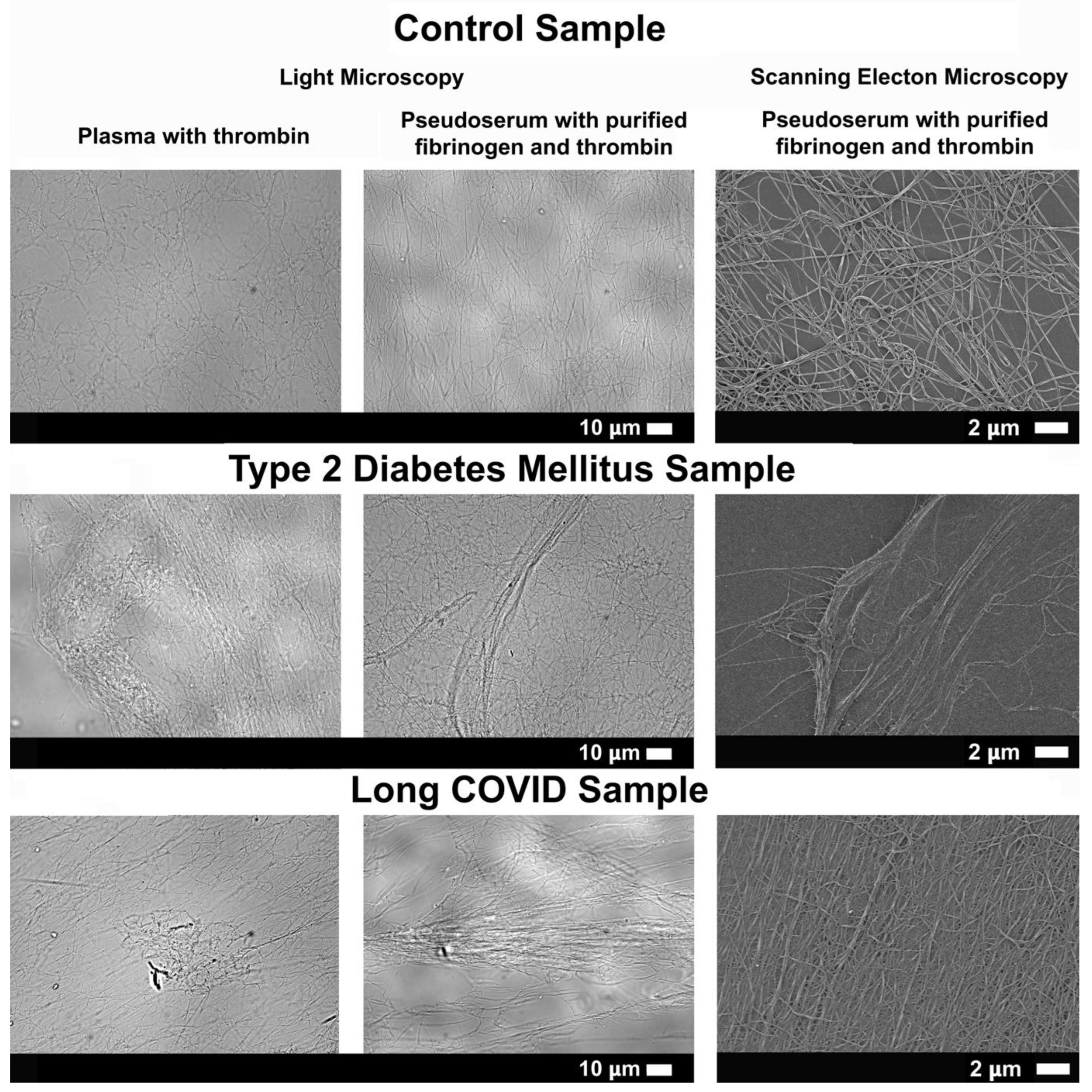 Preprints 175445 g006