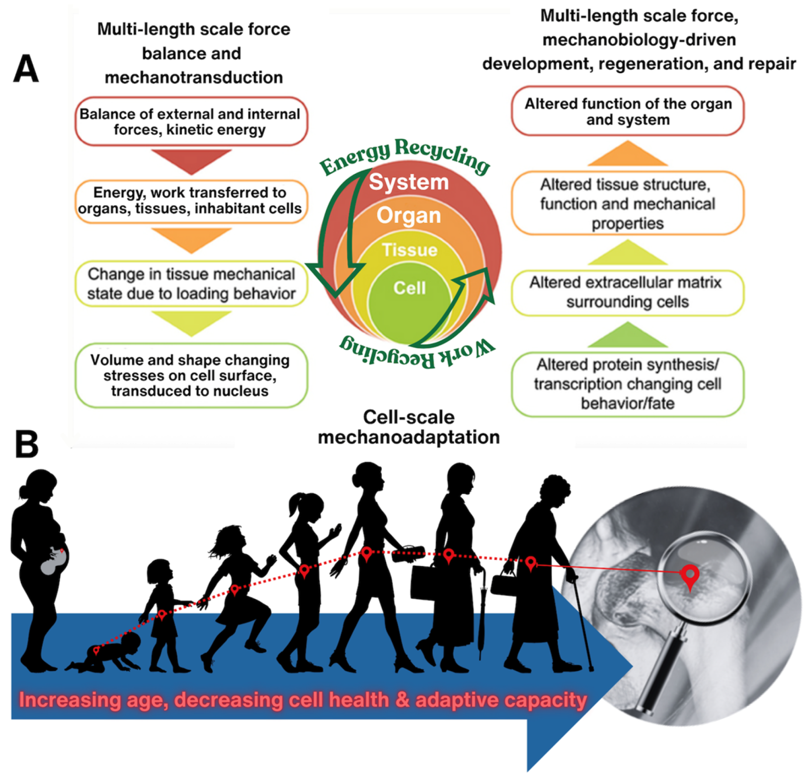 Preprints 183777 g002