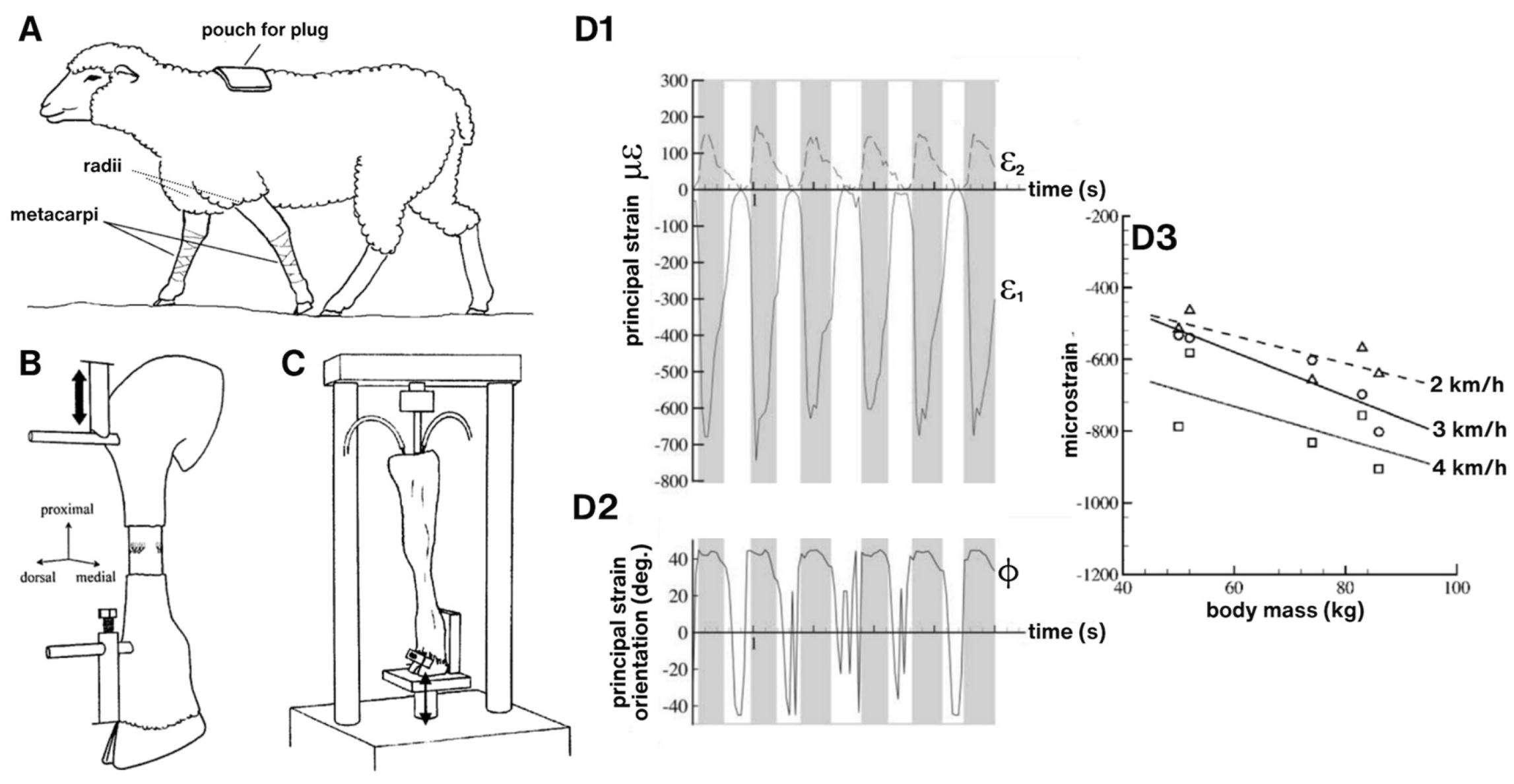 Preprints 183777 g003