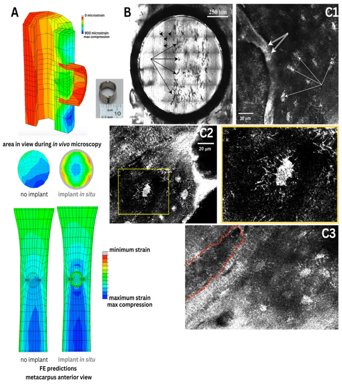 Preprints 183777 g004