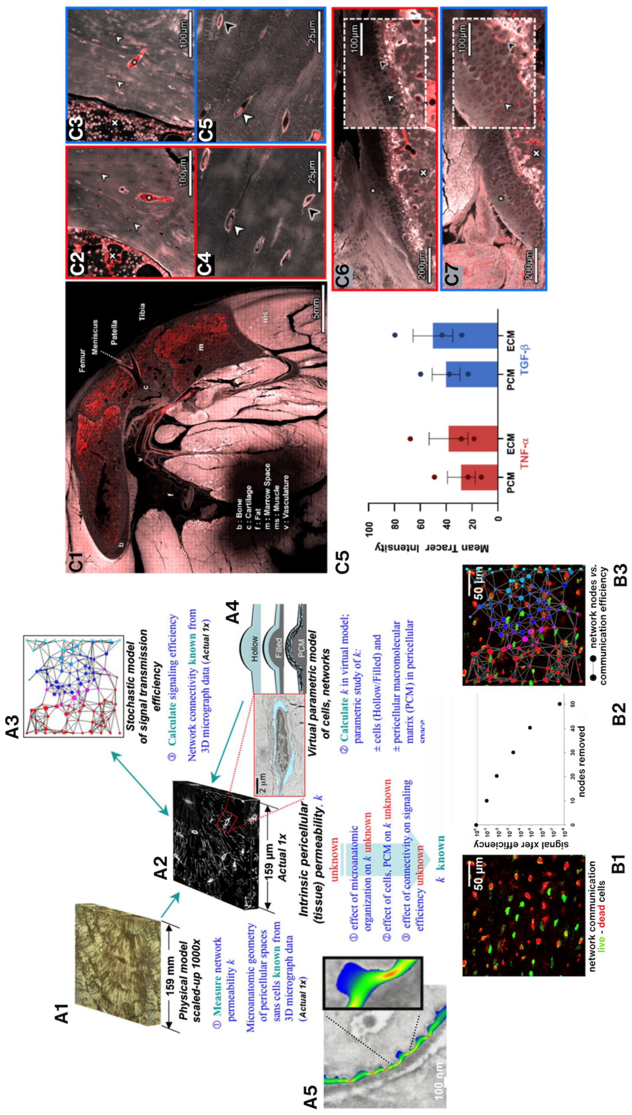 Preprints 183777 g005