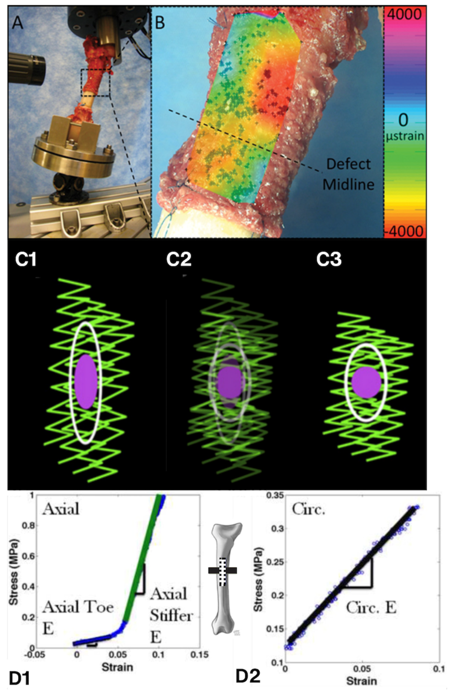 Preprints 183777 g006