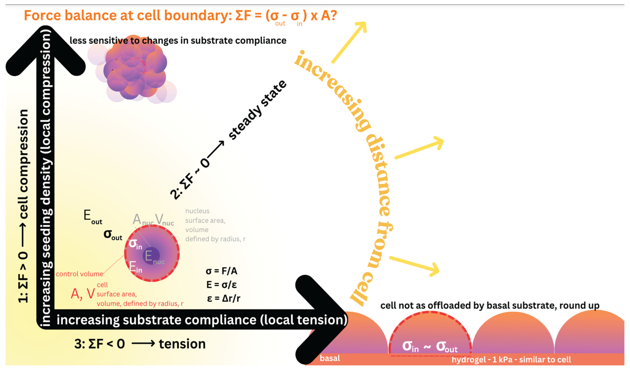 Preprints 183777 g007