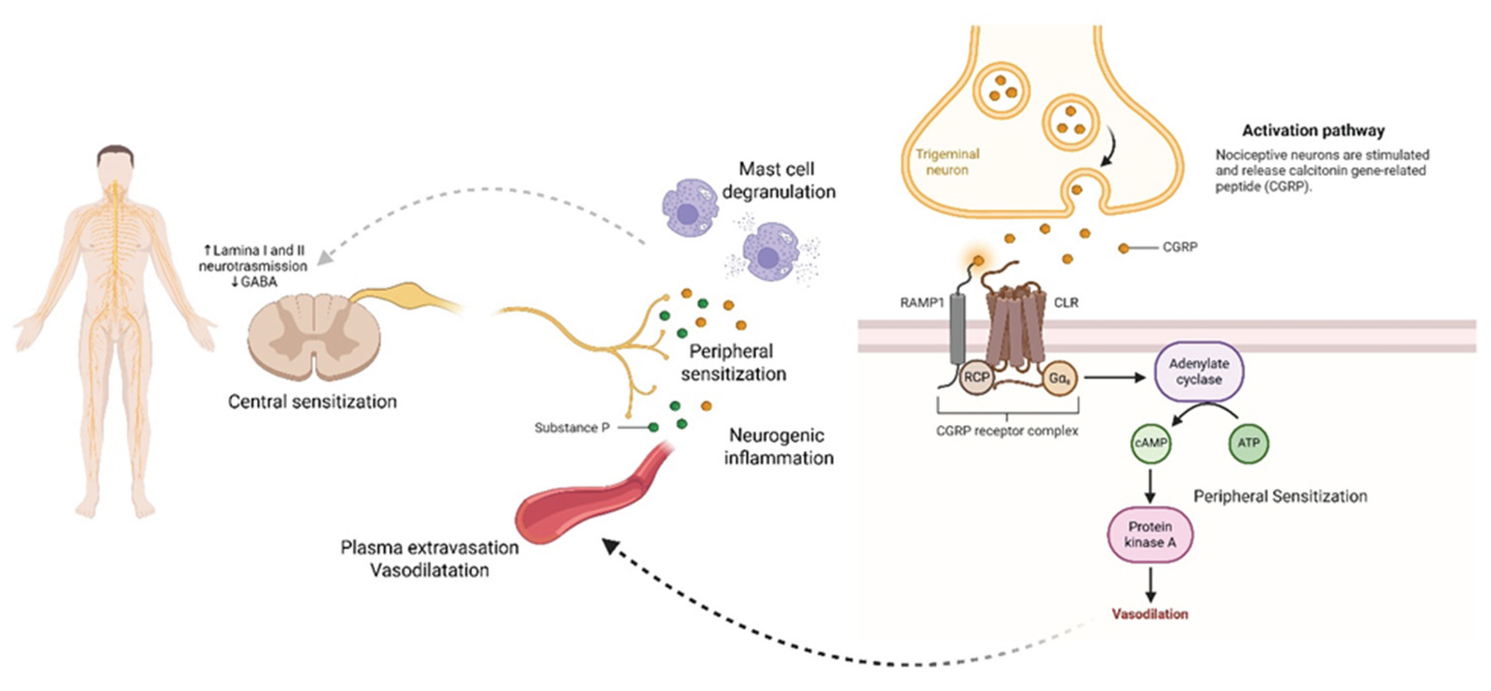 Preprints 170025 g004