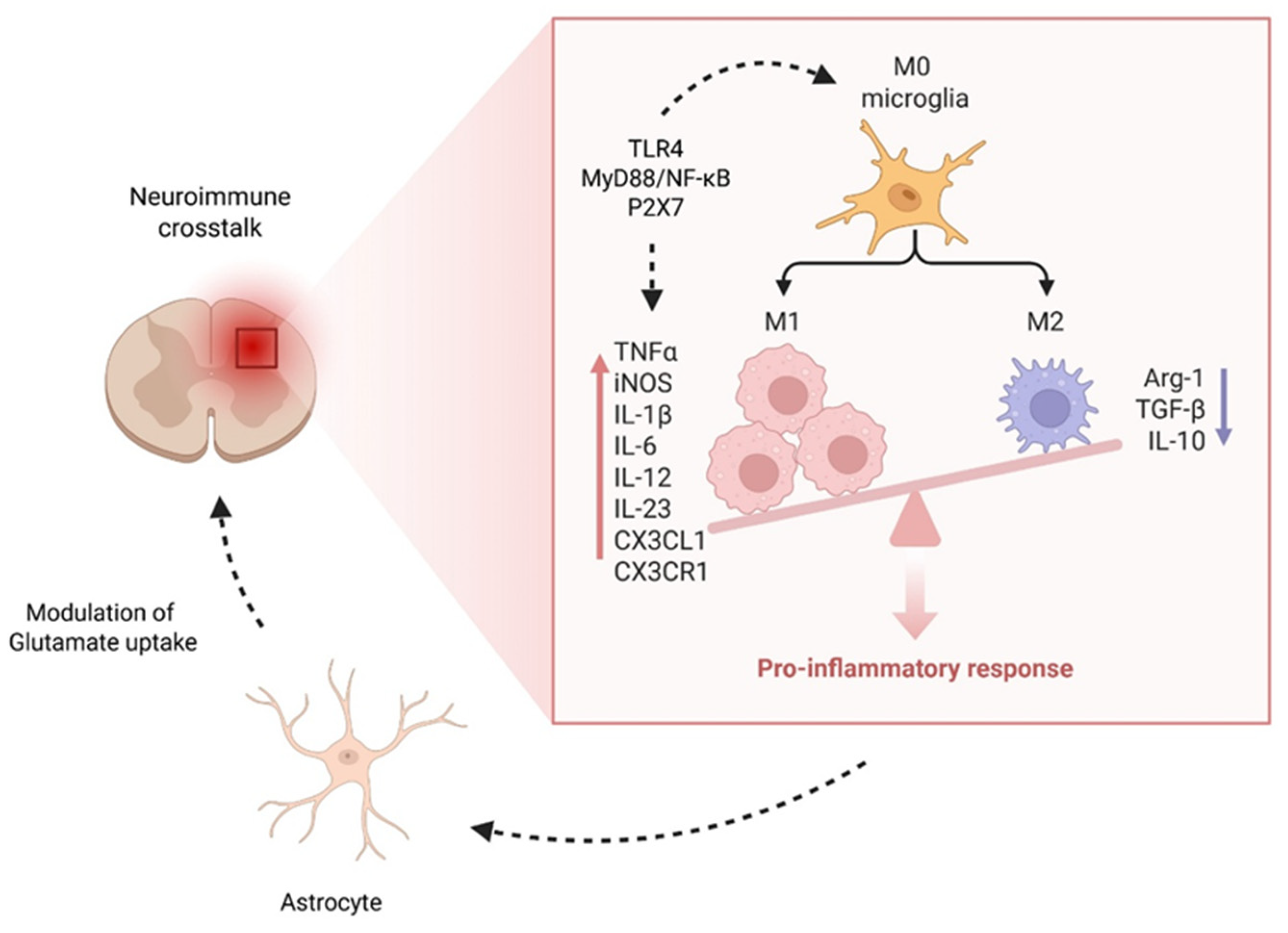 Preprints 170025 g005