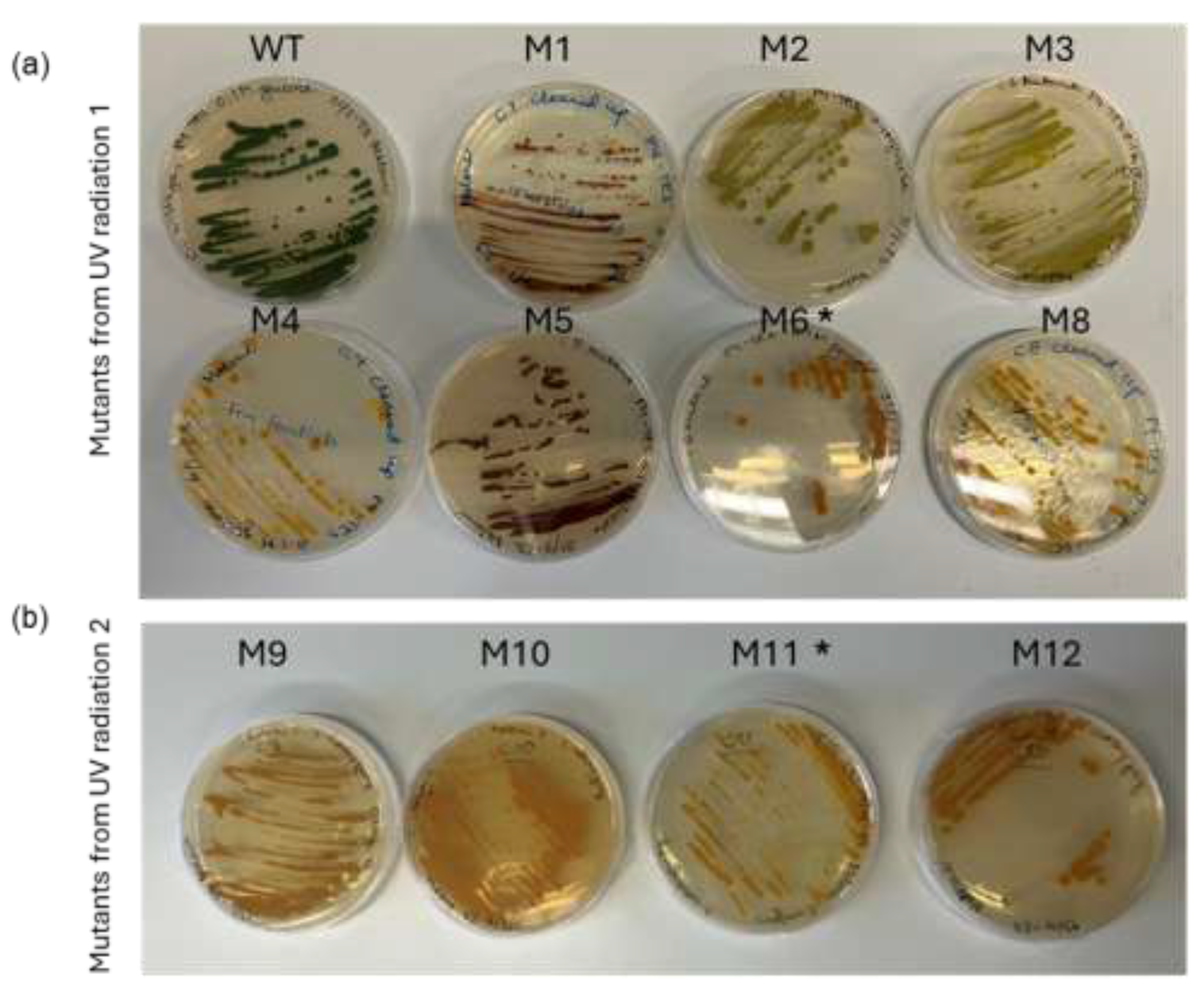 Preprints 195199 g002