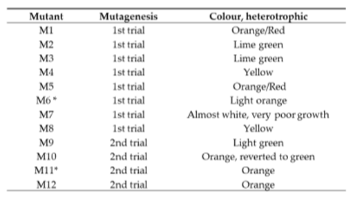 Preprints 195199 i001