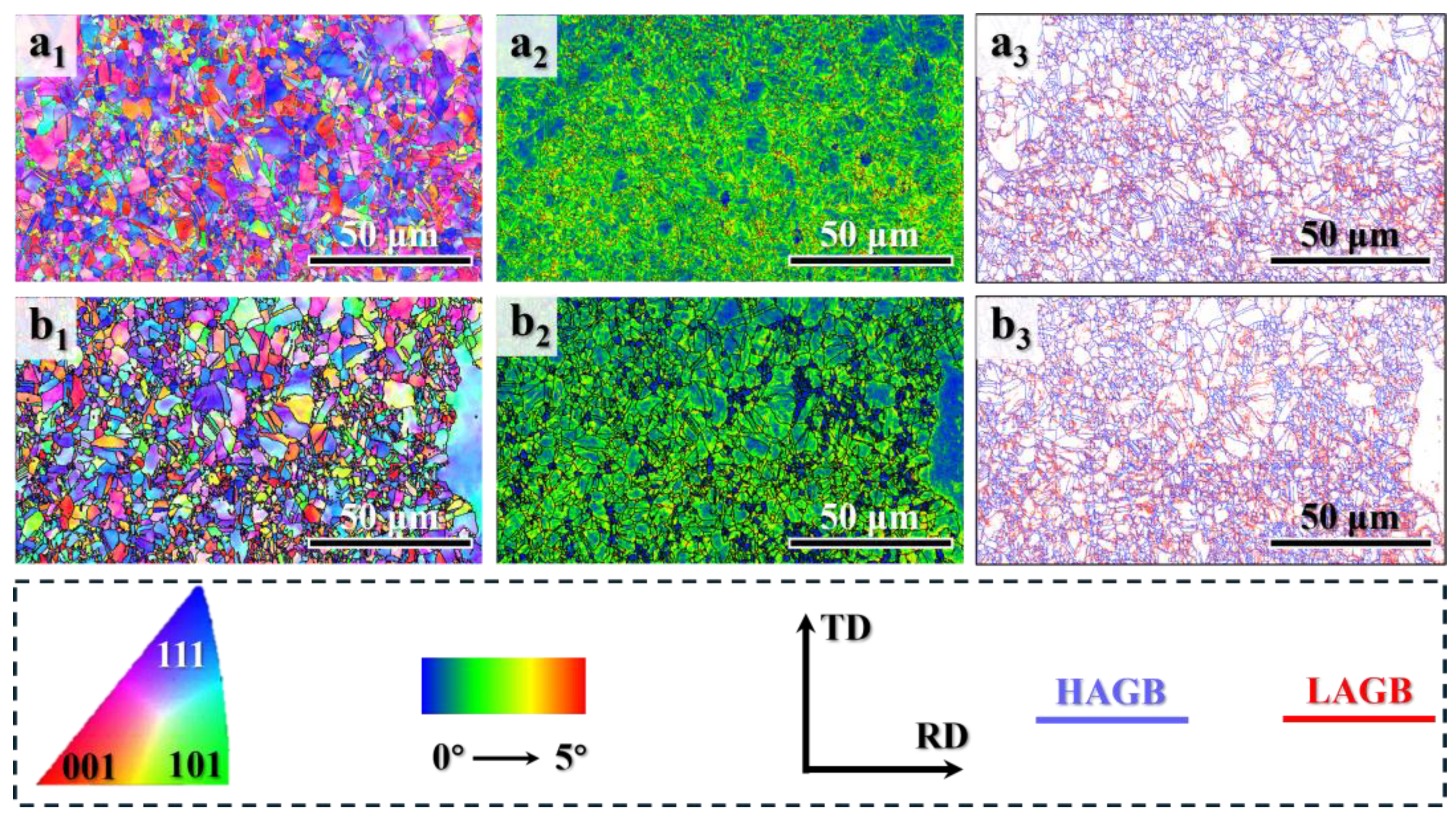Preprints 197288 g002