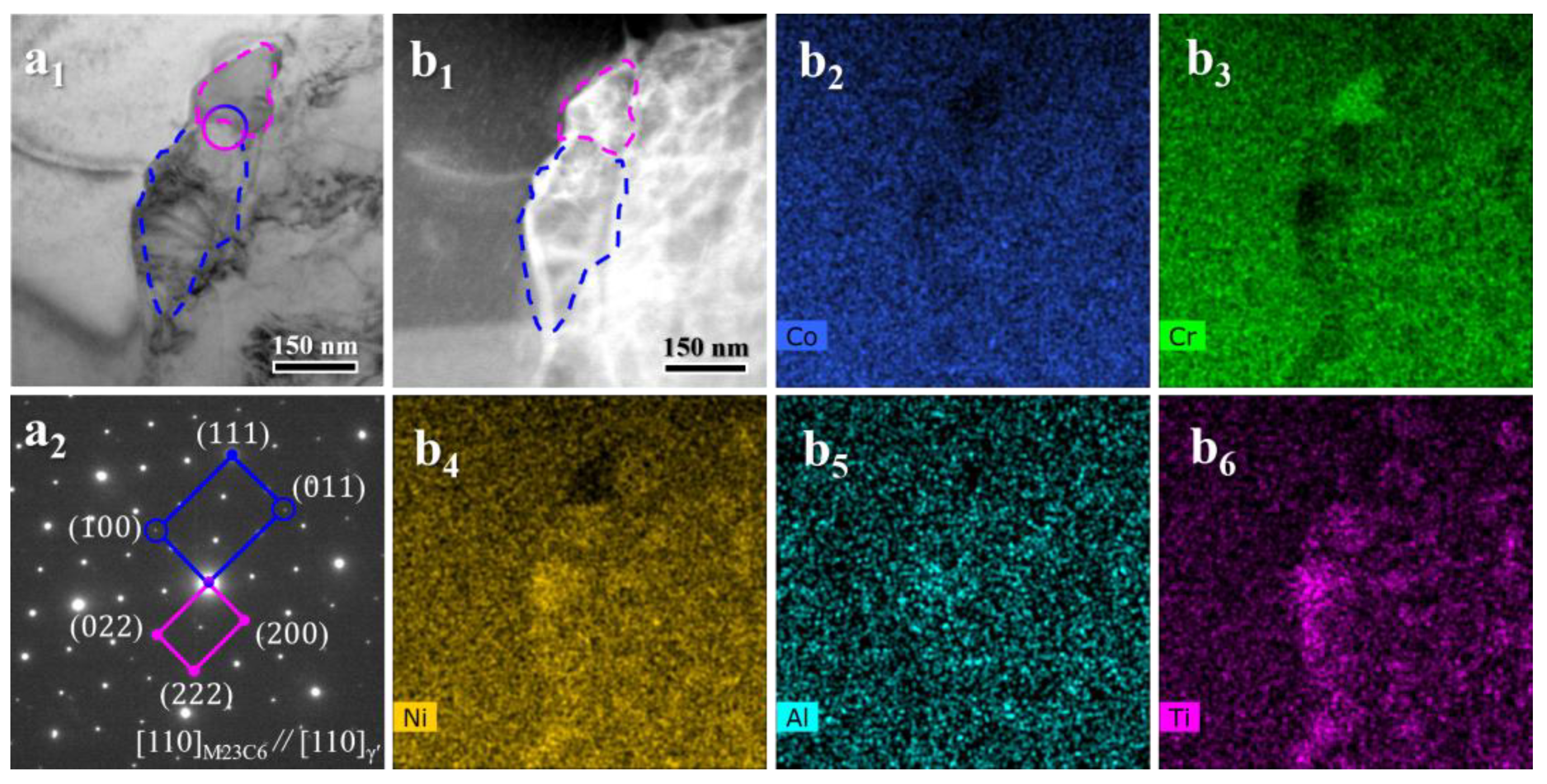 Preprints 197288 g006