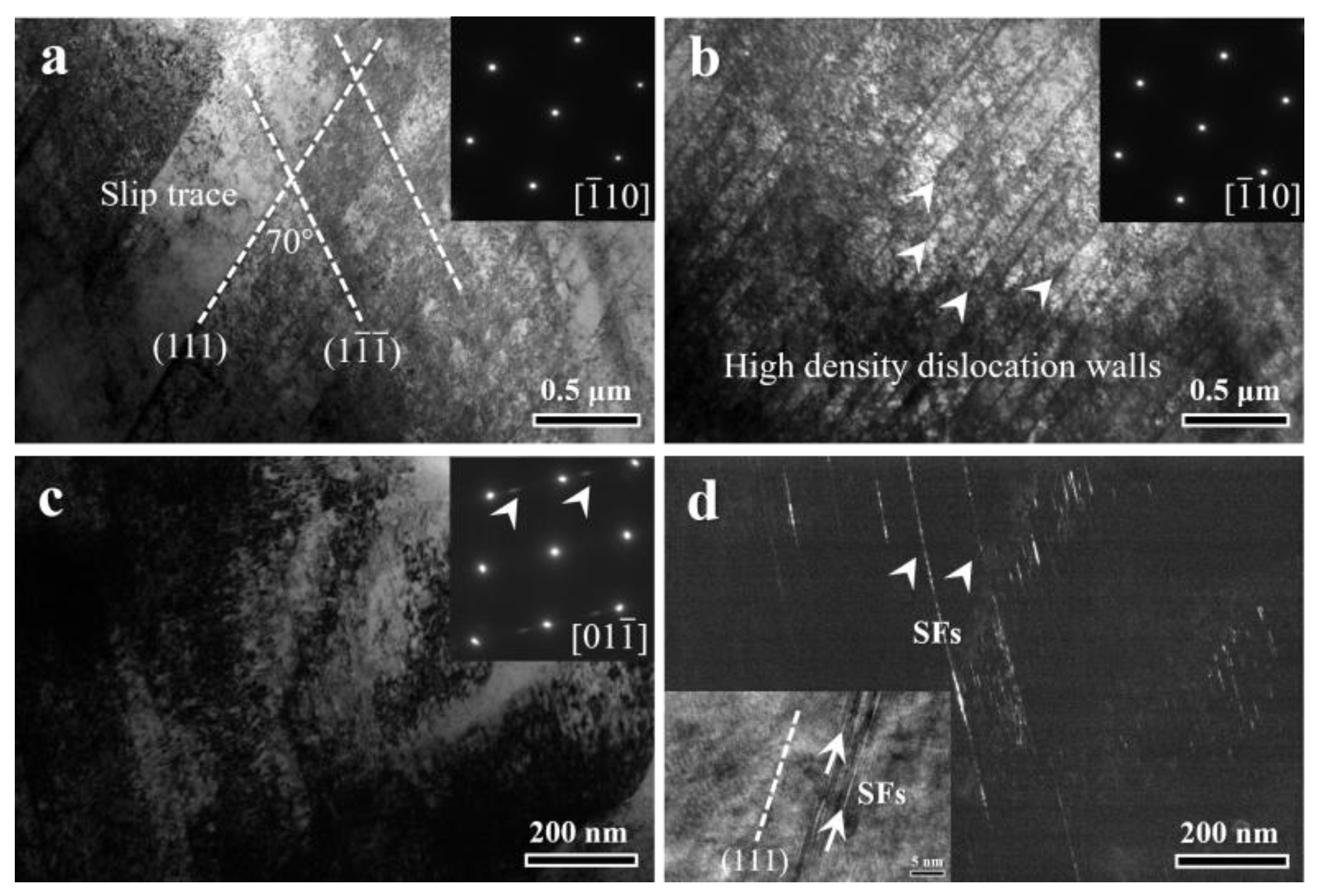 Preprints 197288 g011