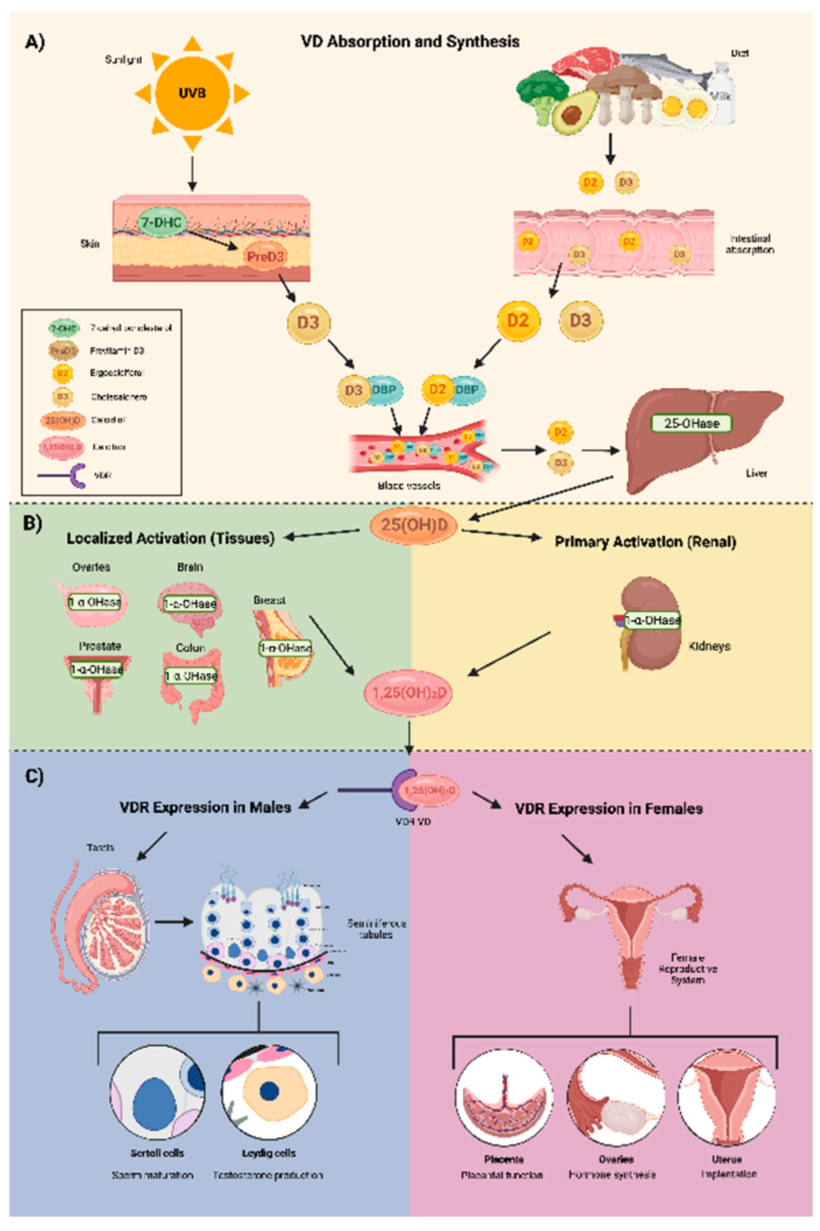 Preprints 148191 g001