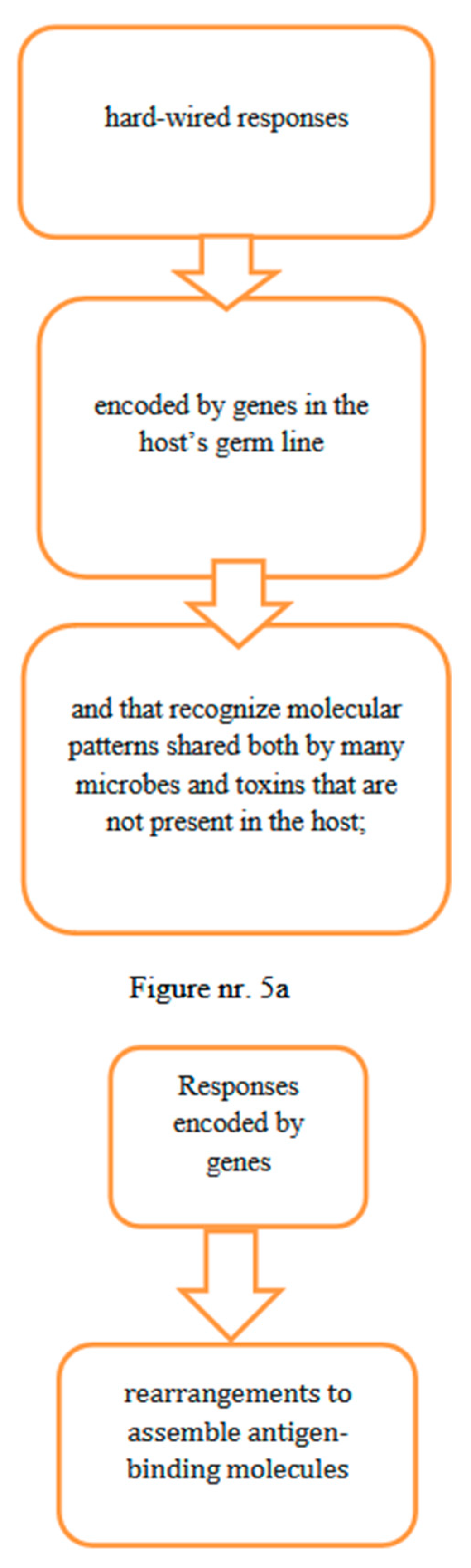 Preprints 147943 g005