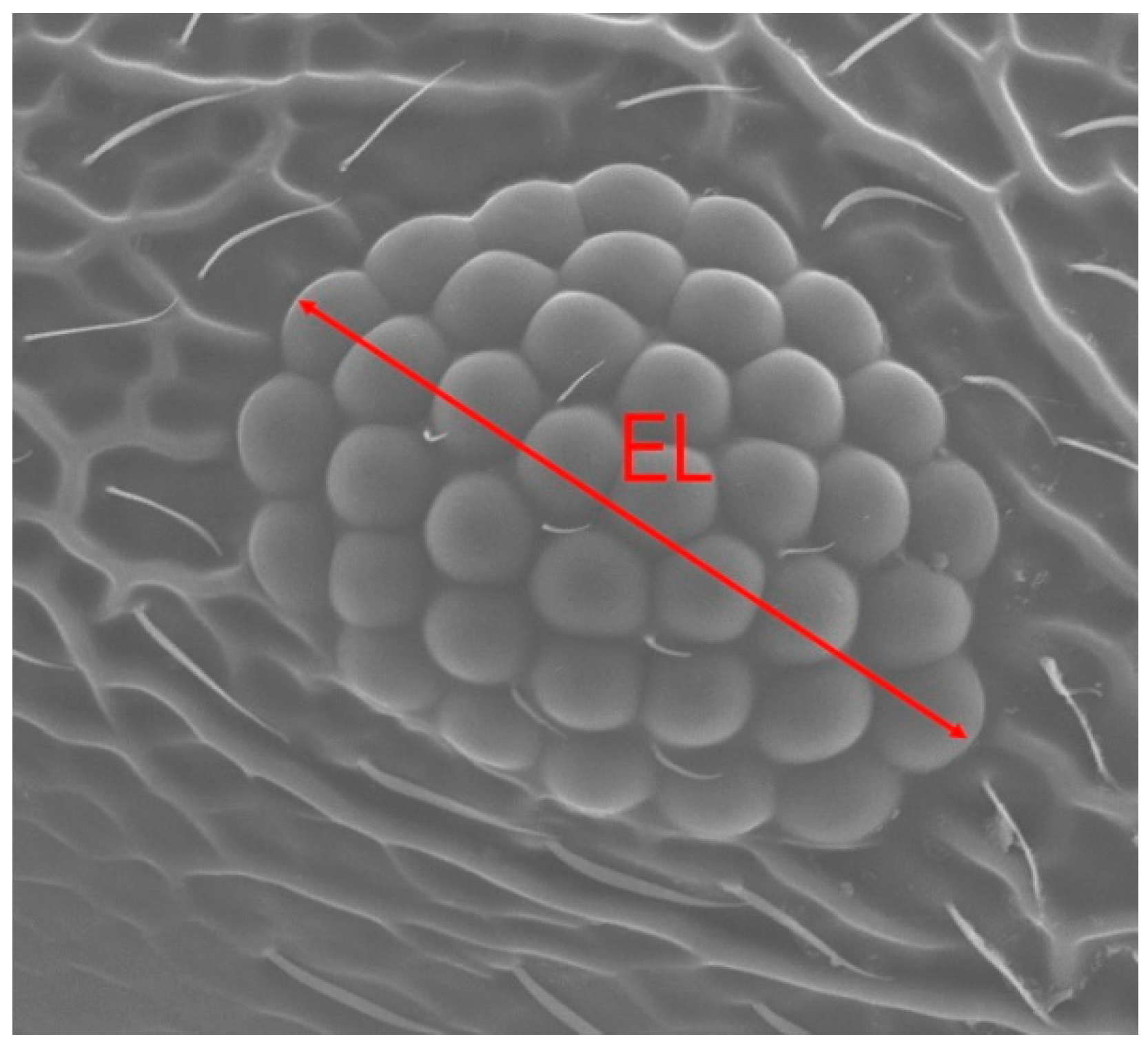 Preprints 205965 g003