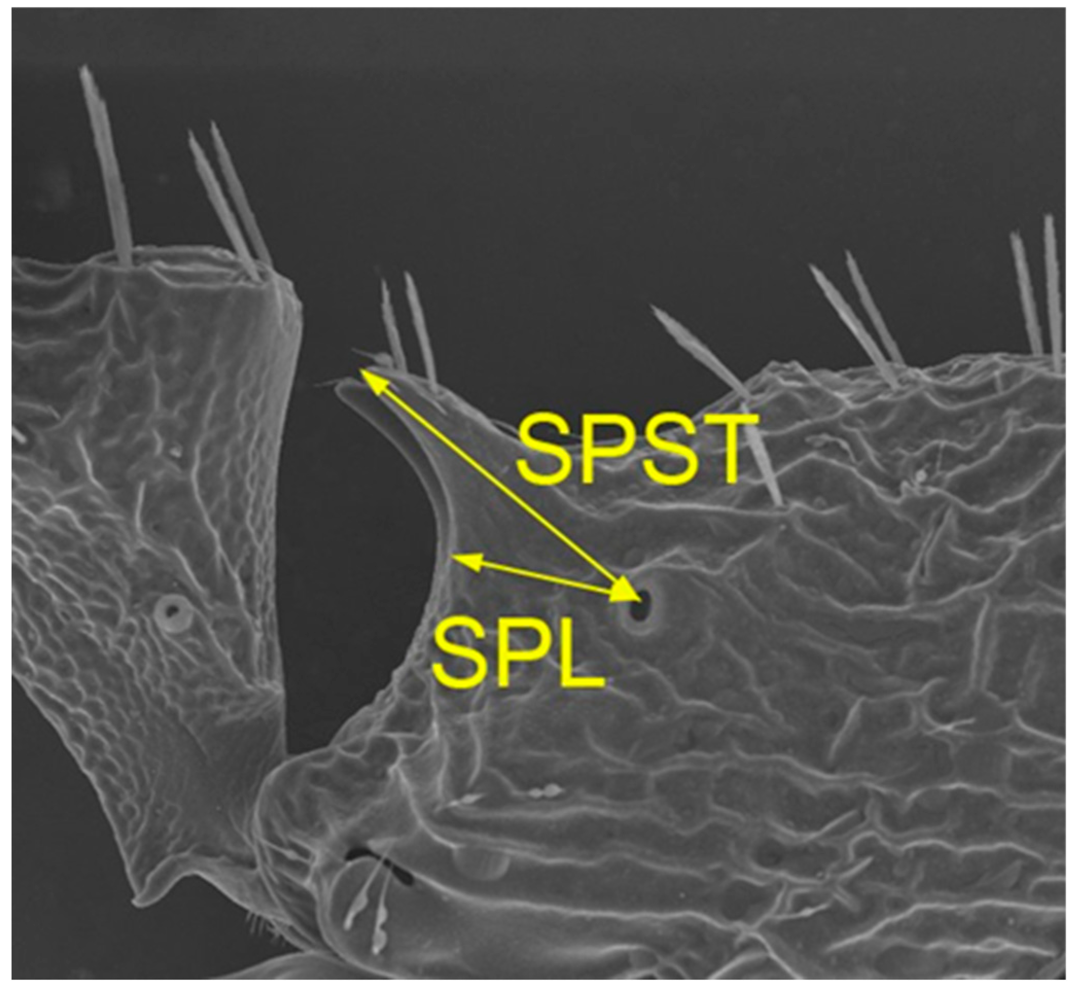 Preprints 205965 g005