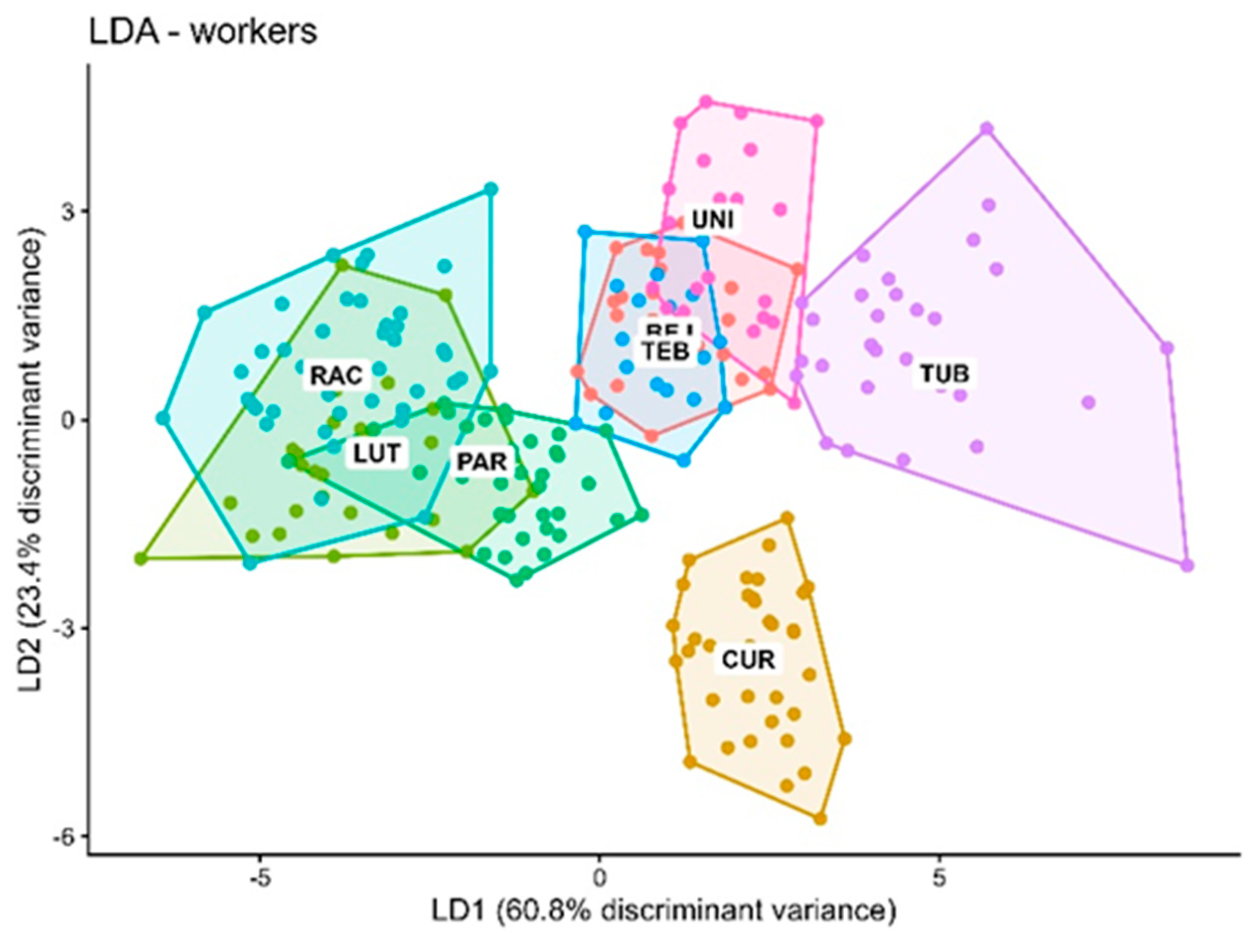 Preprints 205965 g006