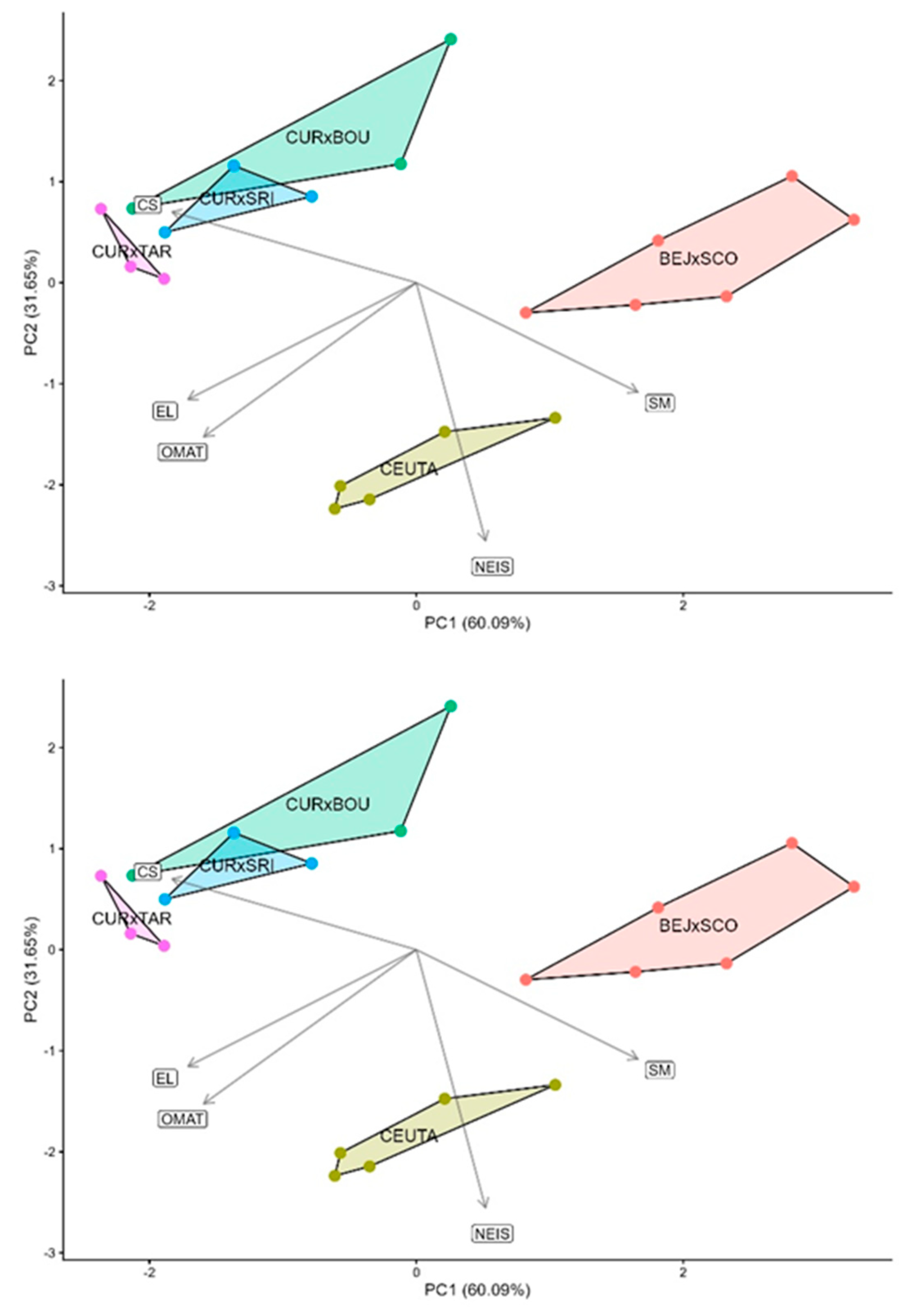 Preprints 205965 g008