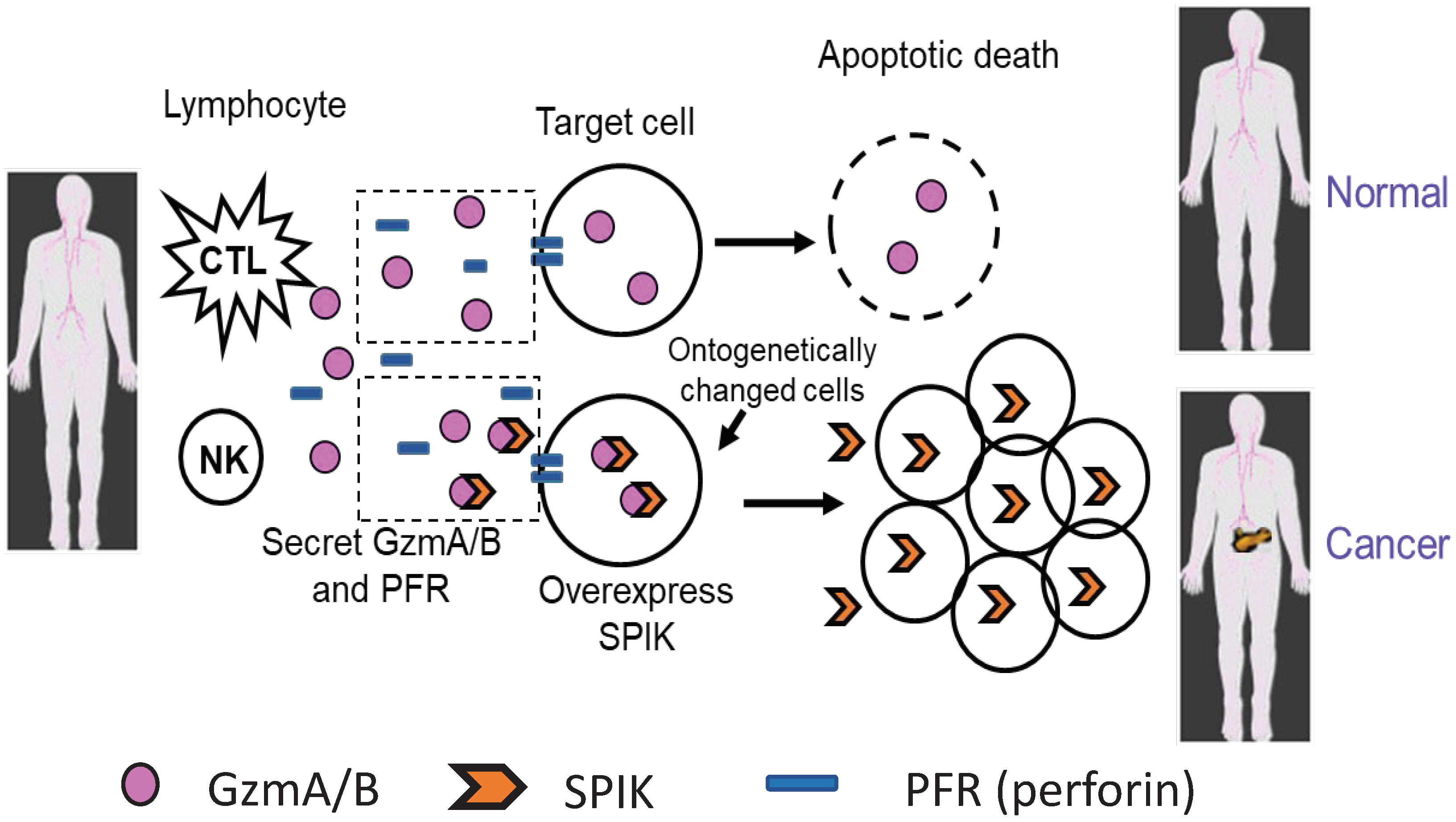 Preprints 99729 g001
