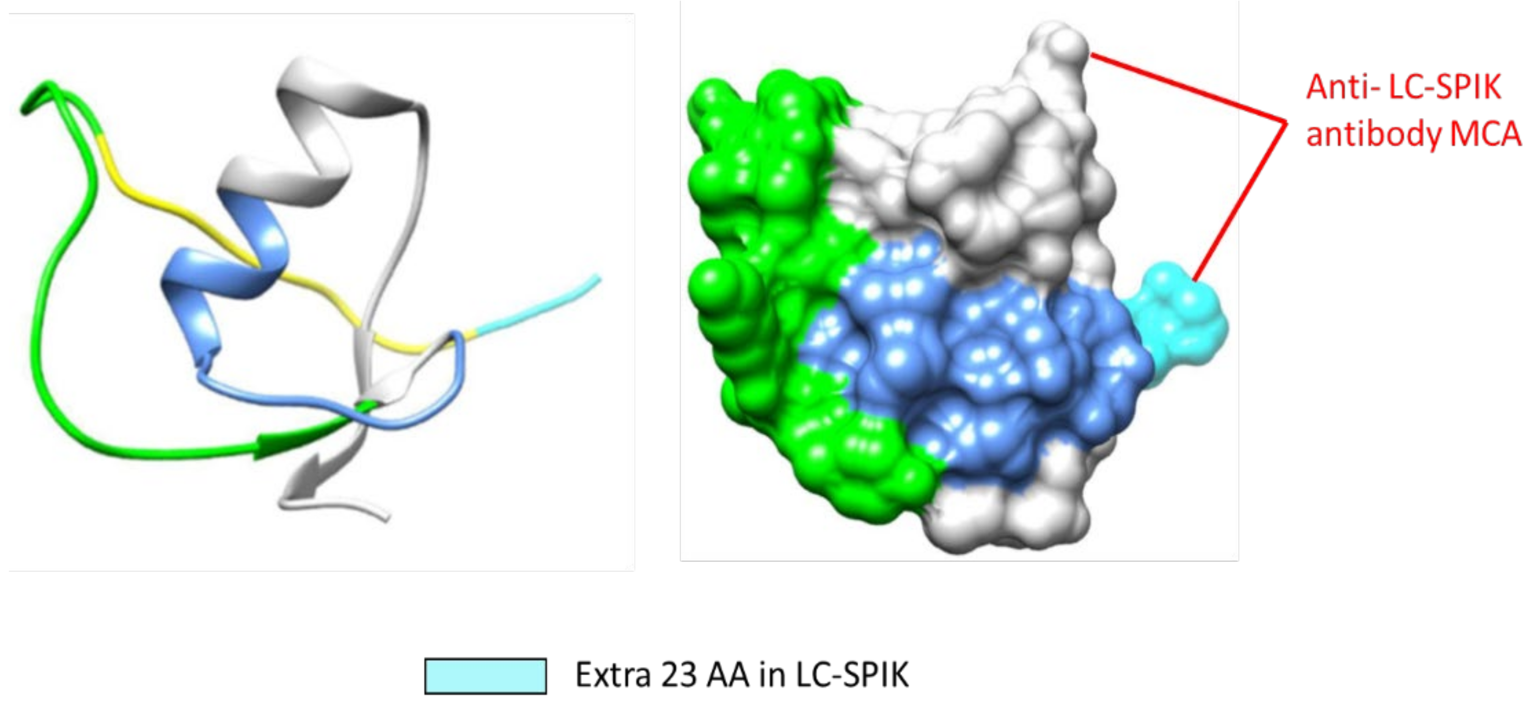 Preprints 99729 g004