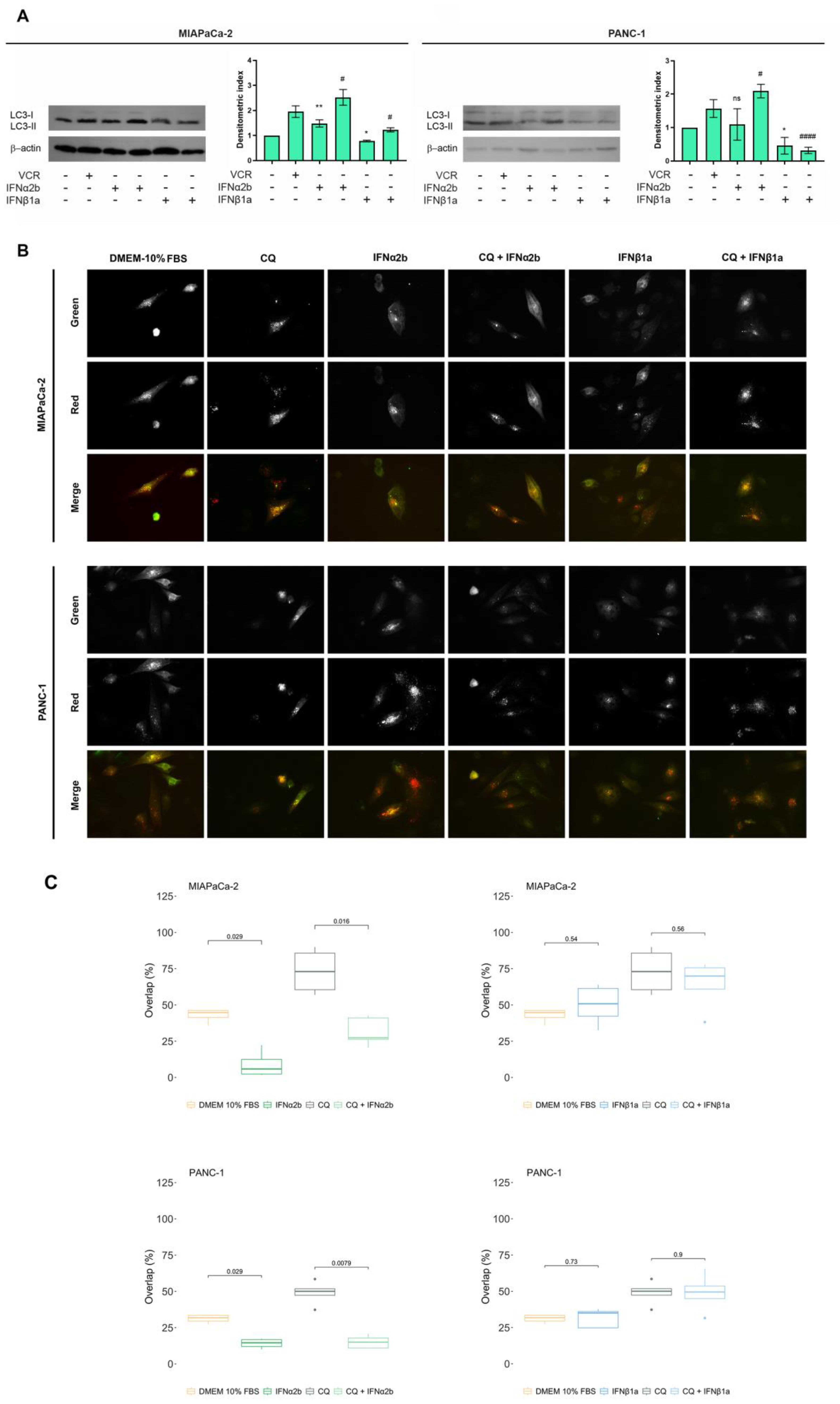 Preprints 170879 g003