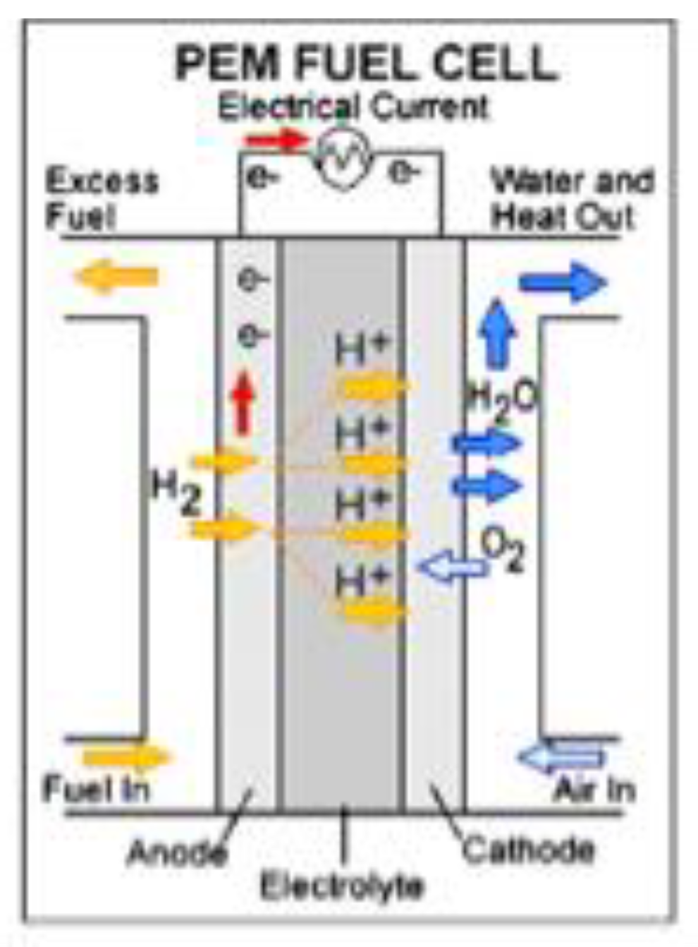 Preprints 114578 g002