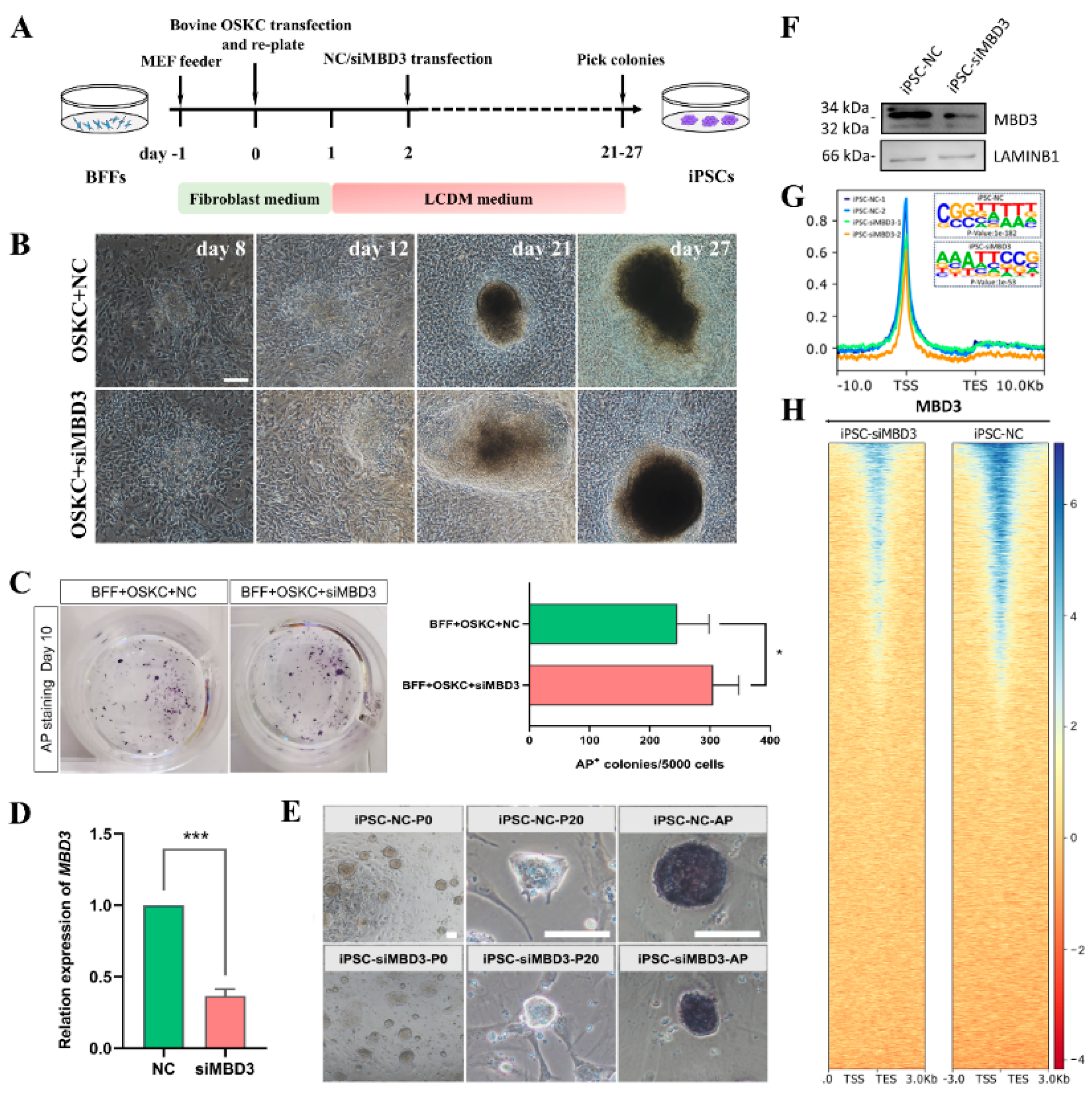Preprints 147247 g001