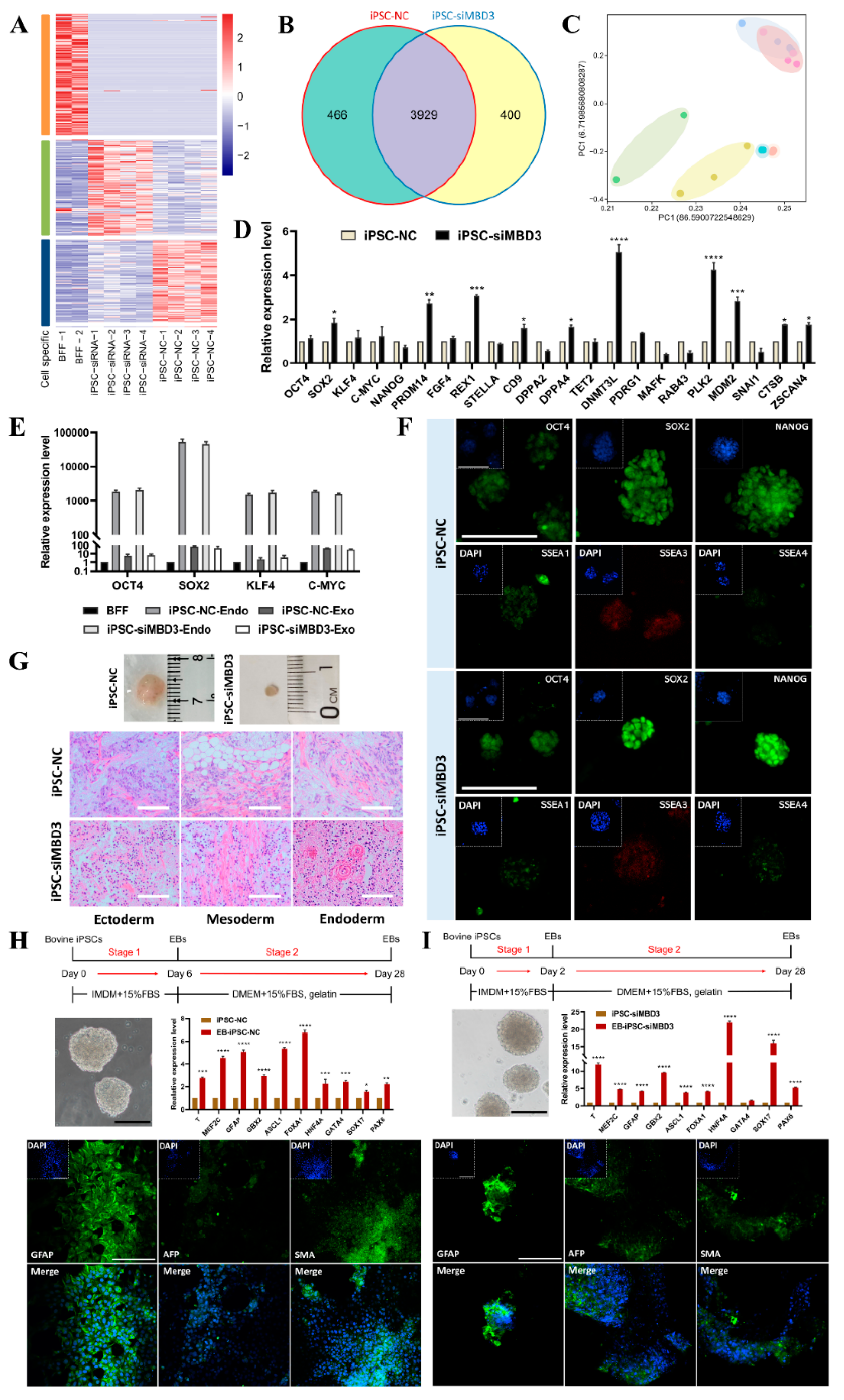 Preprints 147247 g002