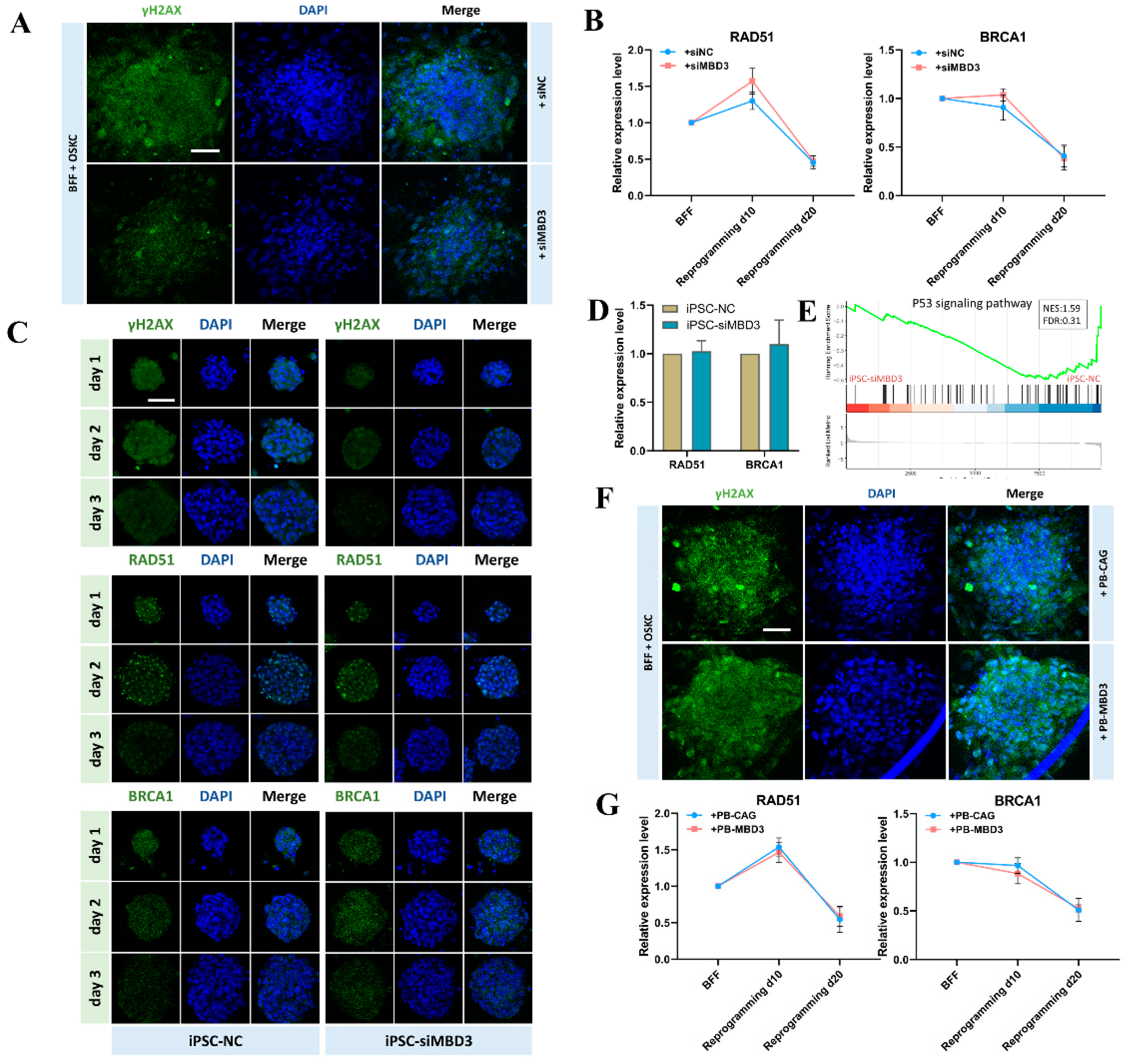 Preprints 147247 g003