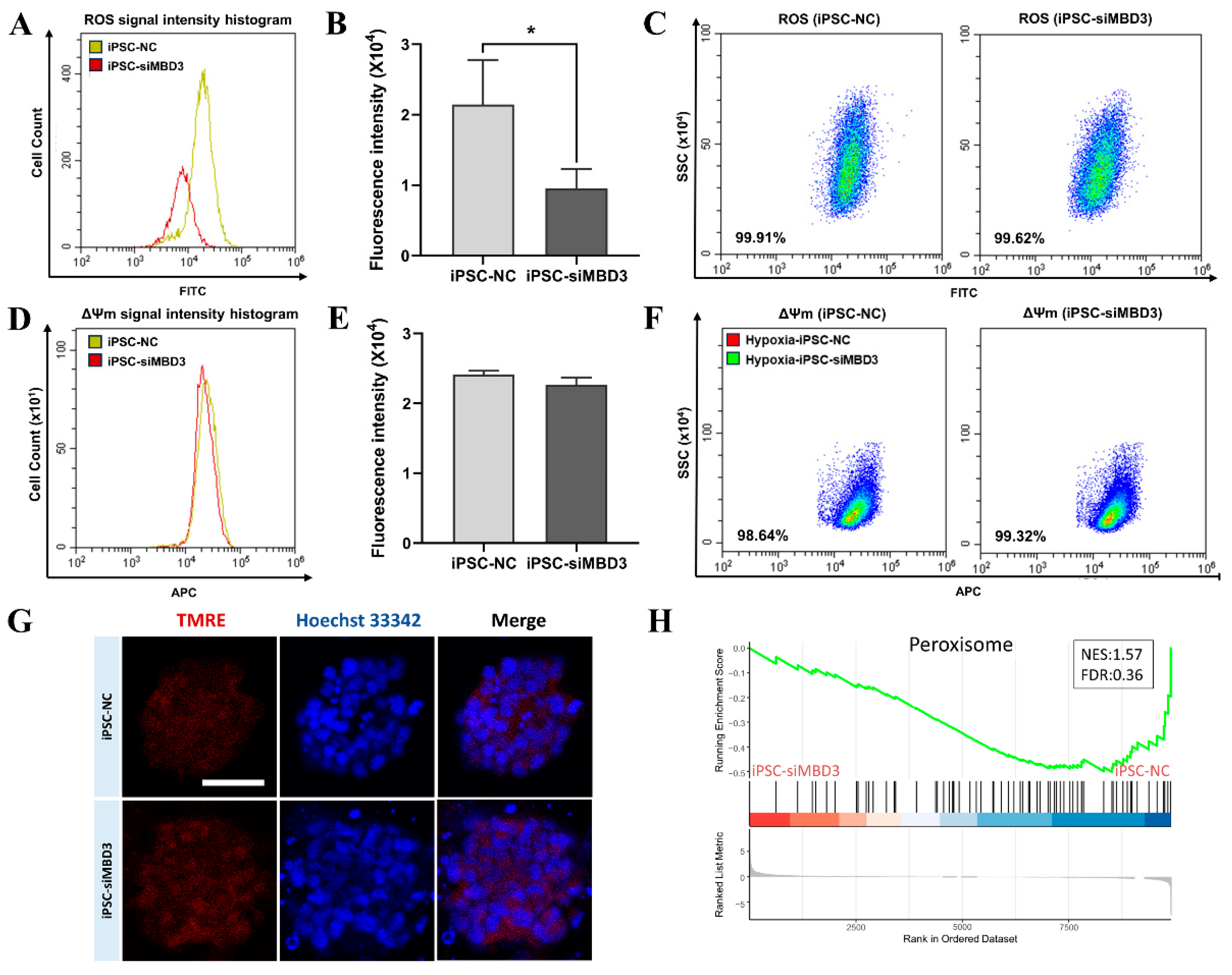 Preprints 147247 g004